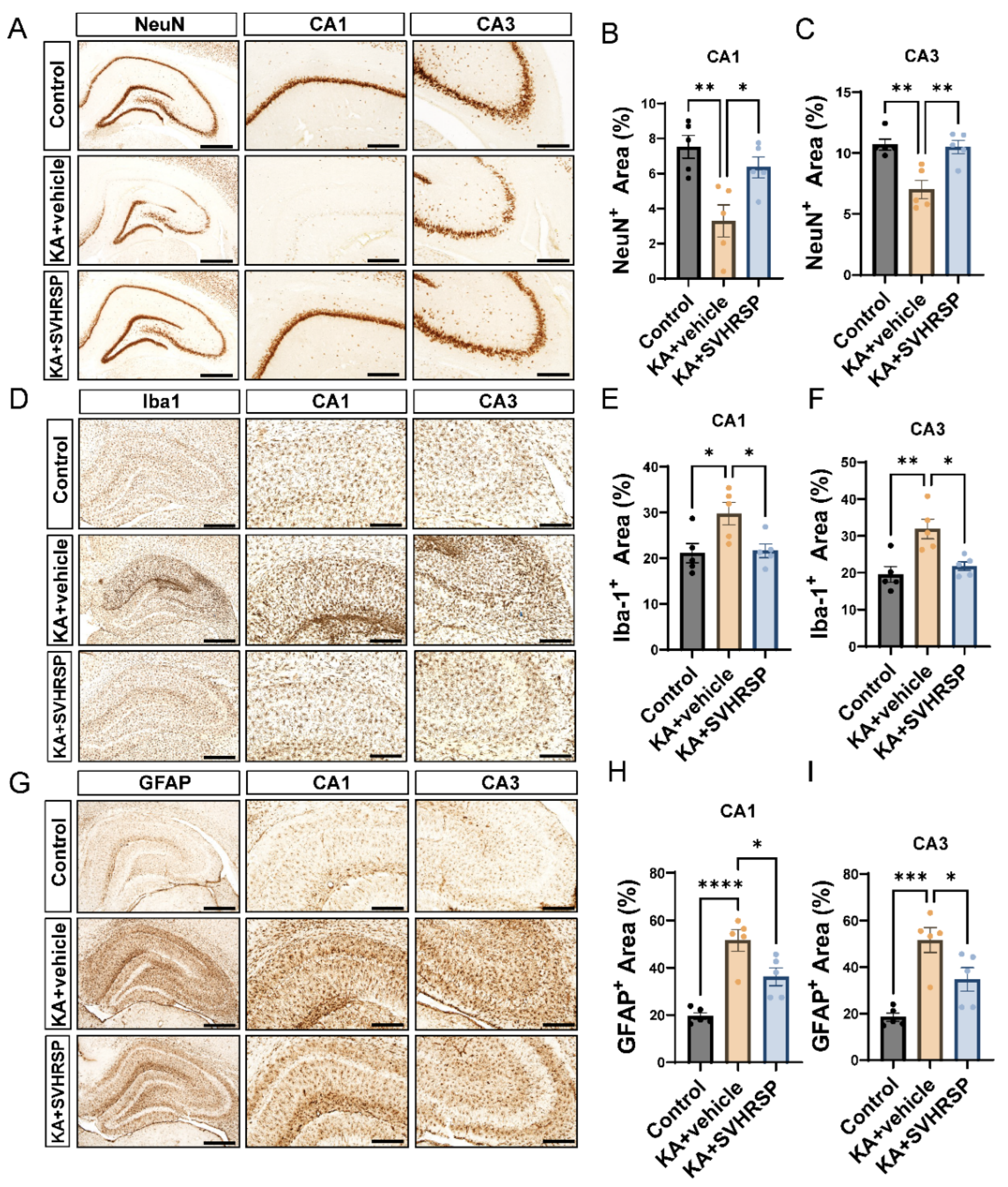 Biomolecules 15 01032 g003 Biomolecules 15 01032 g003