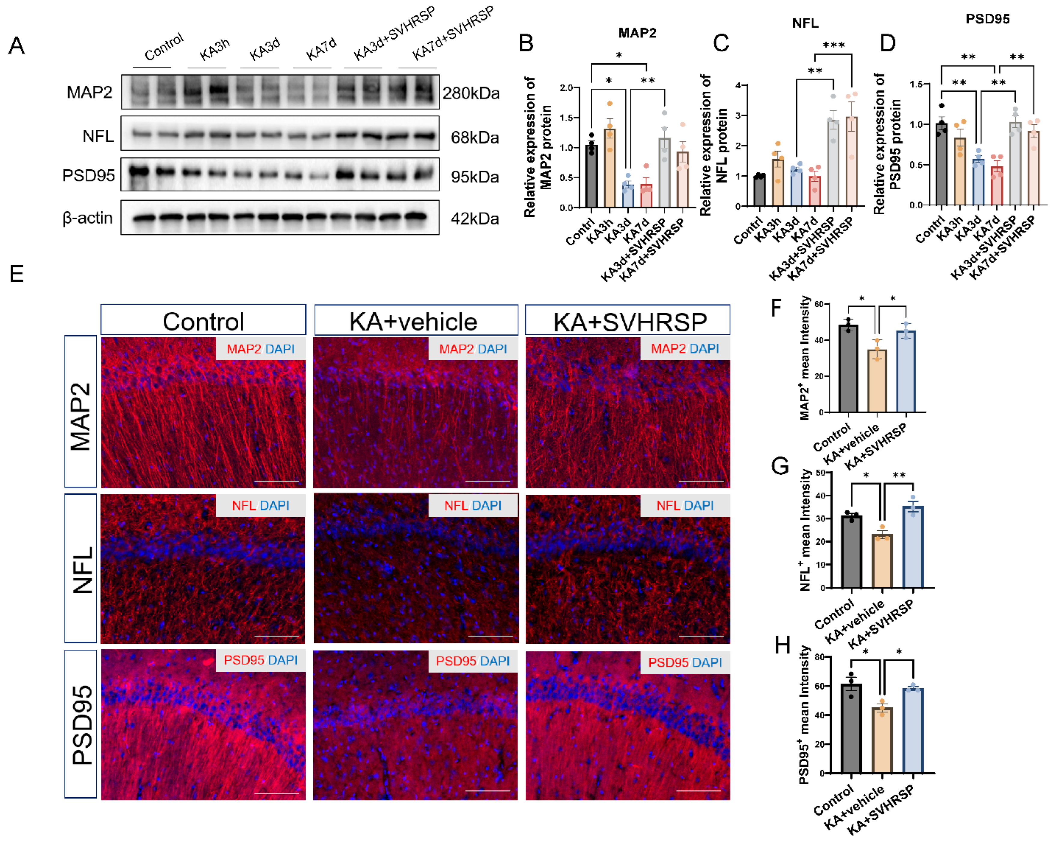 Biomolecules 15 01032 g005 Biomolecules 15 01032 g005