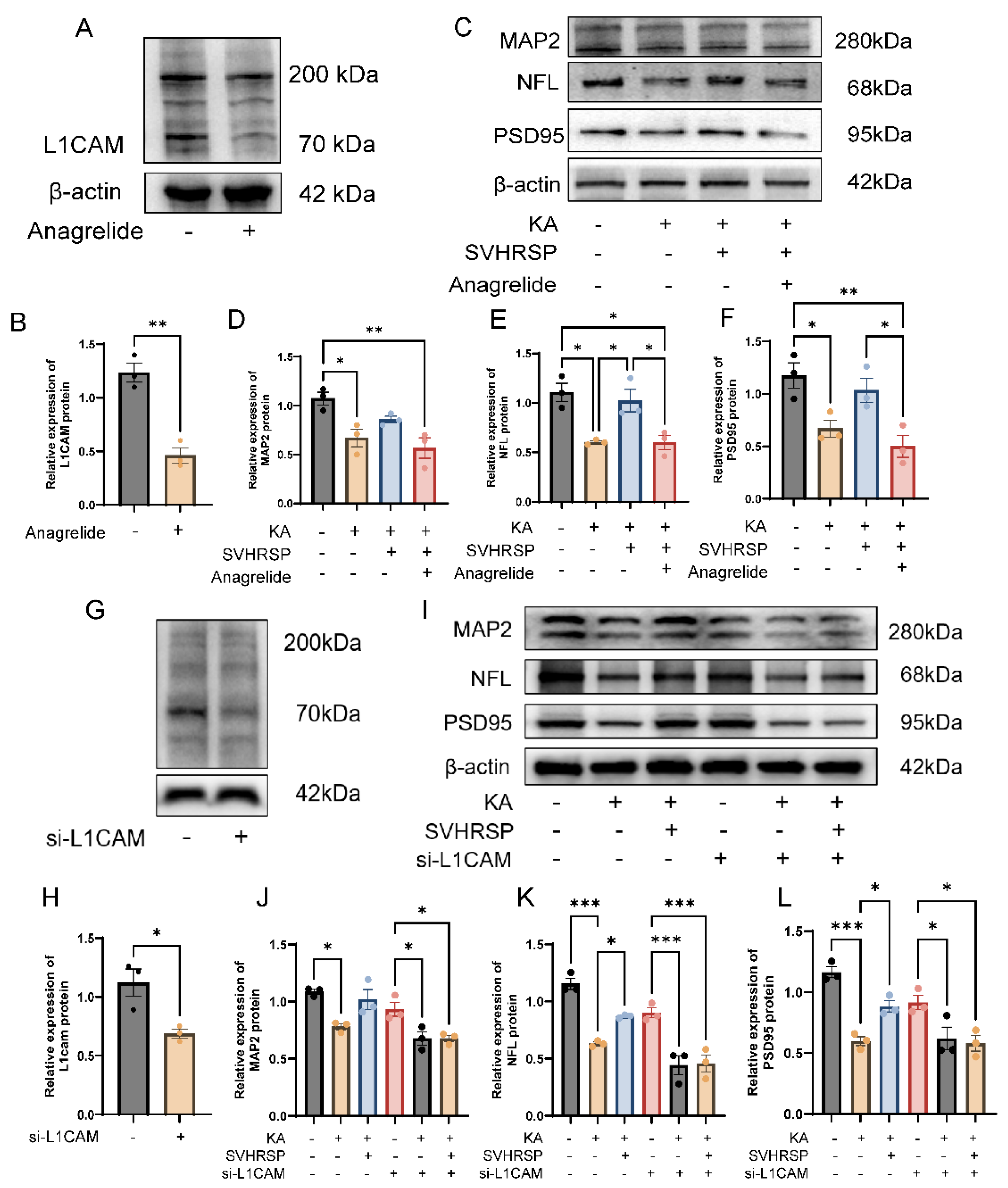 Biomolecules 15 01032 g007 Biomolecules 15 01032 g007