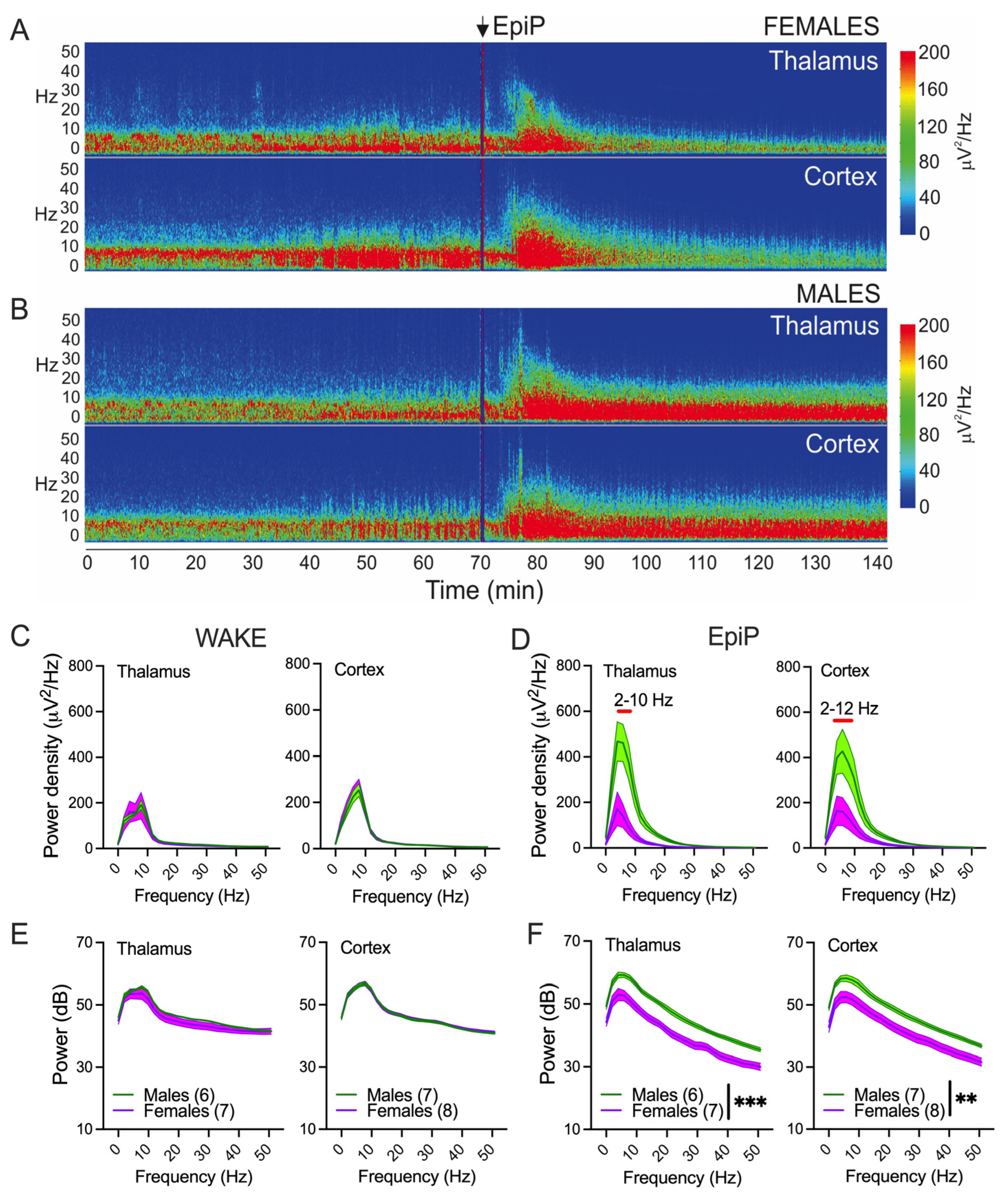 Biomolecules 15 01033 g003