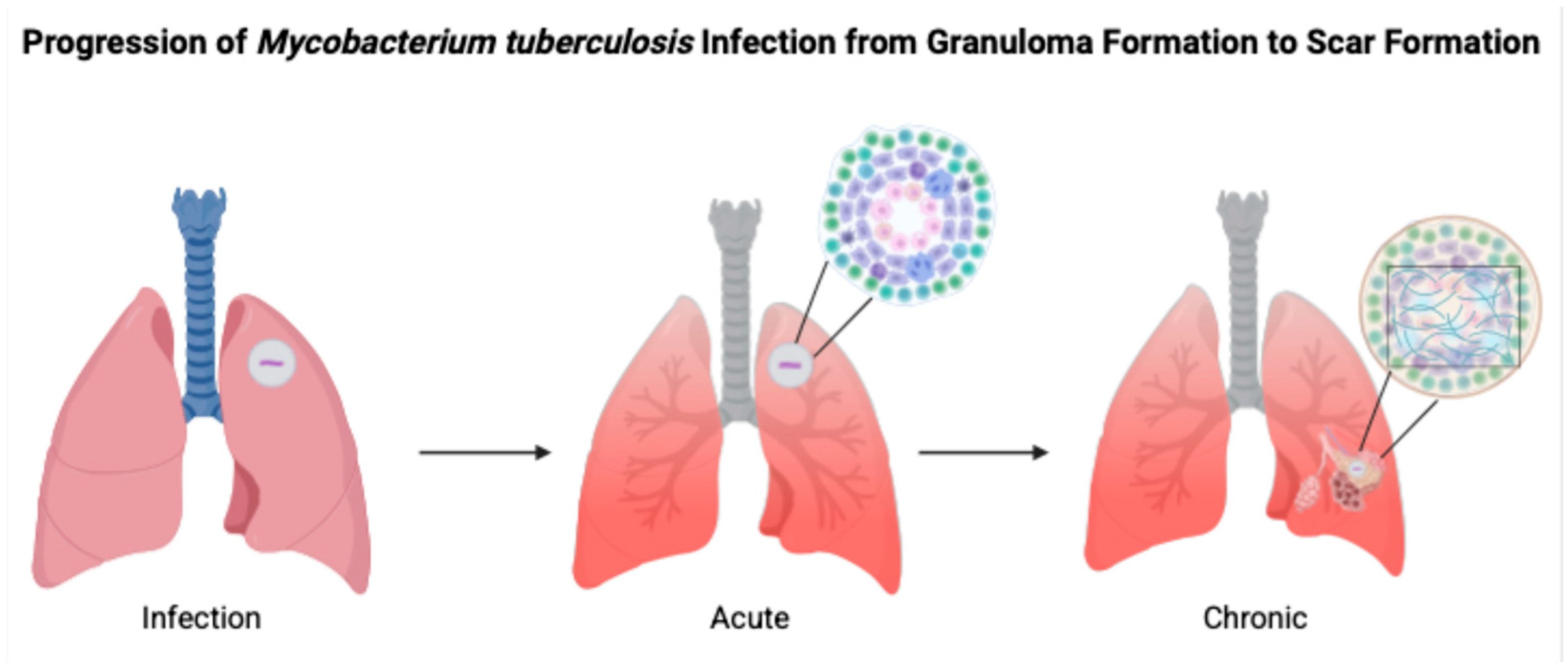 Biomolecules 15 01036 g001