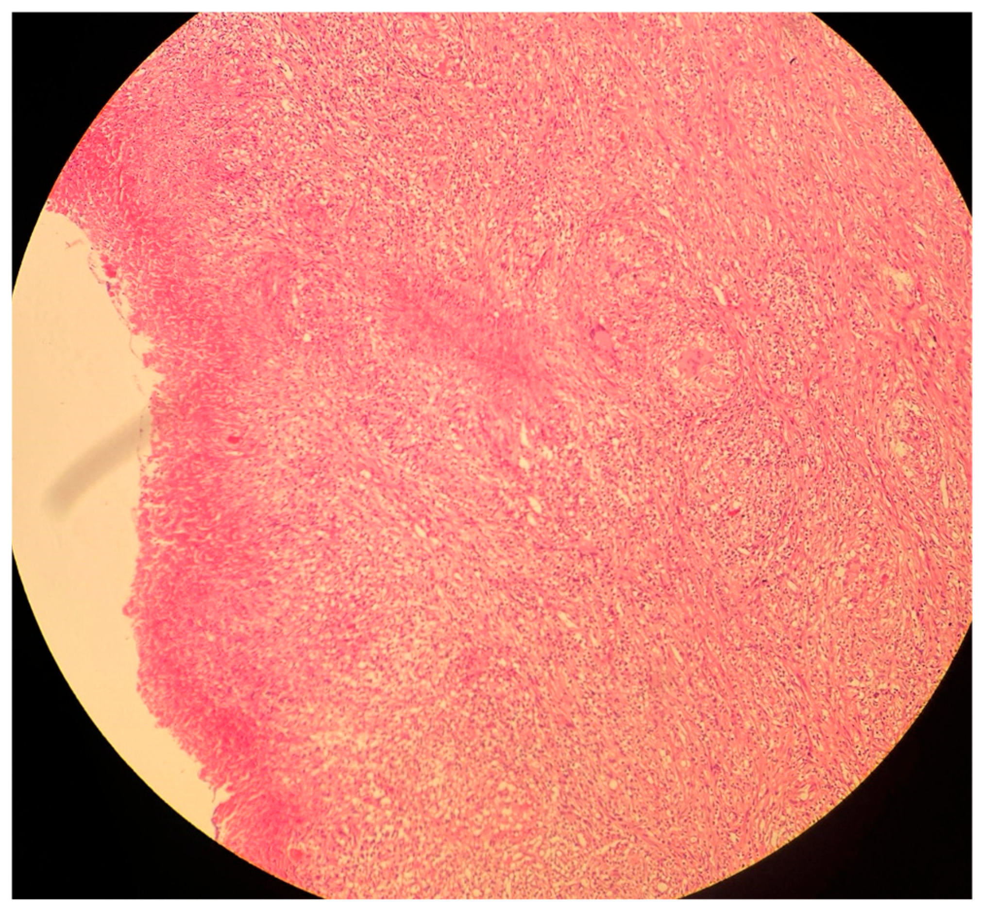 Biomolecules 15 01036 g004