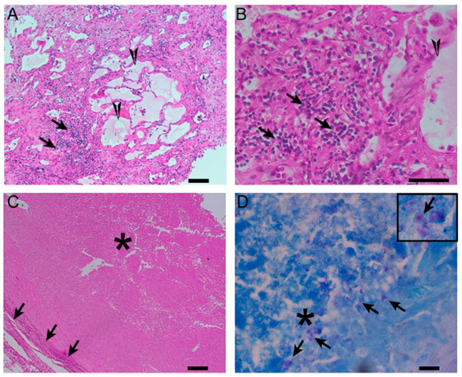 Biomolecules 15 01036 g007