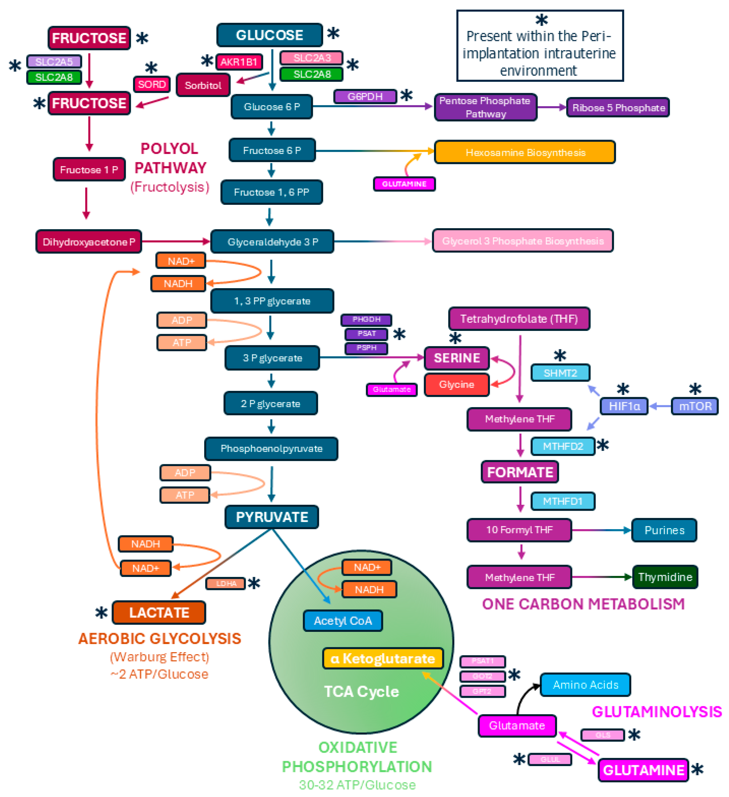 Biomolecules 15 01037 g002 Biomolecules 15 01037 g002