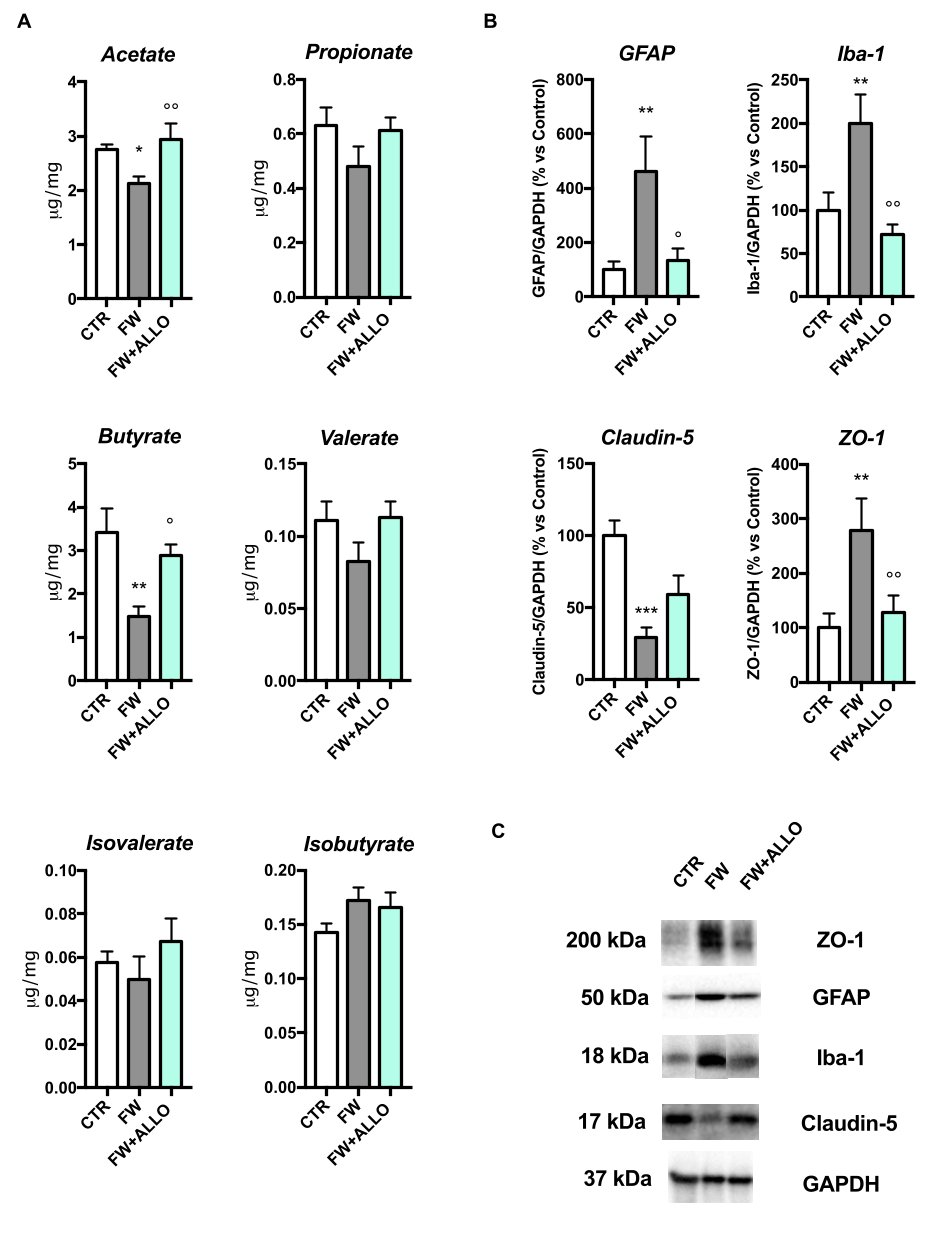 Biomolecules 15 01044 g004