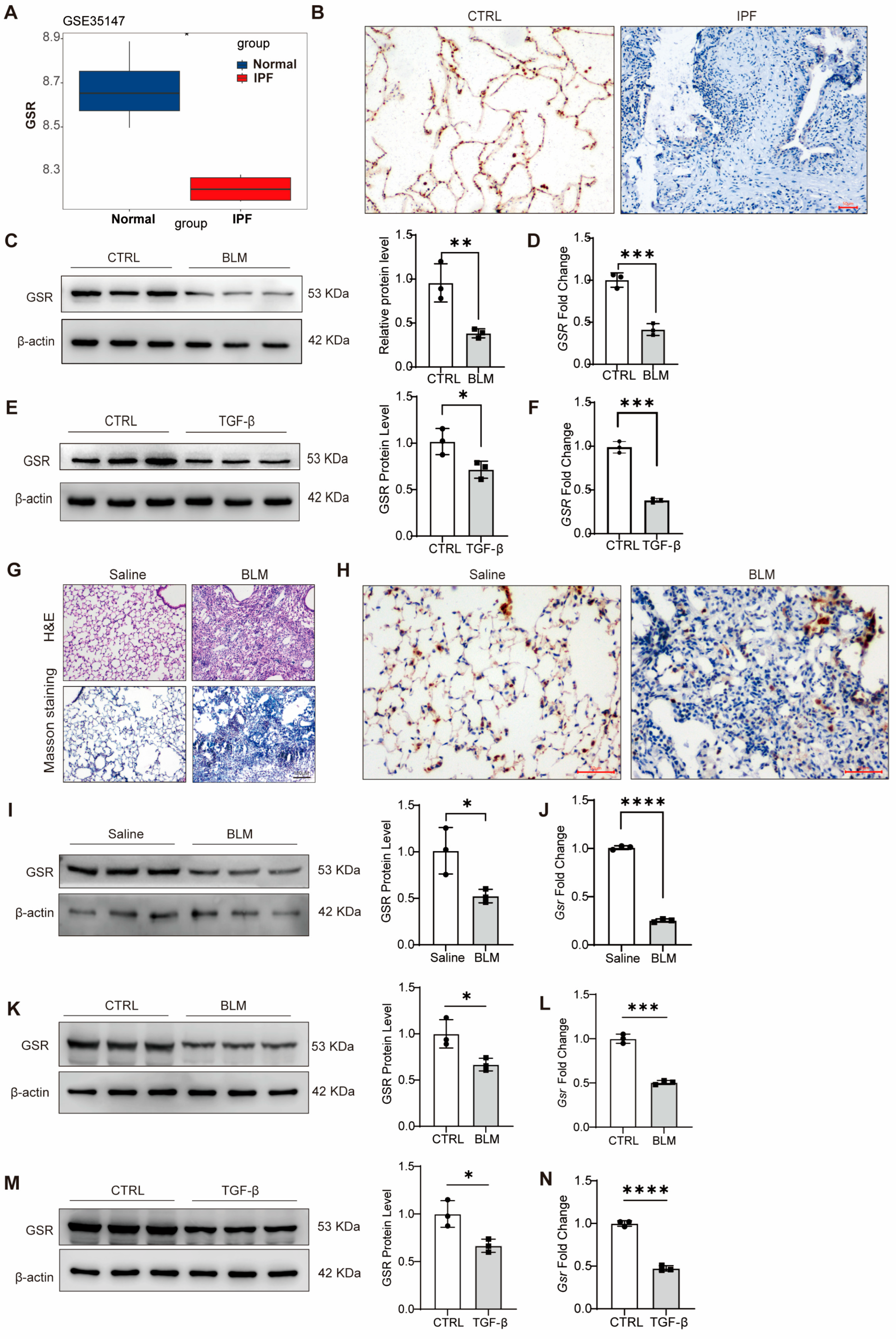 Biomolecules 15 01050 g001