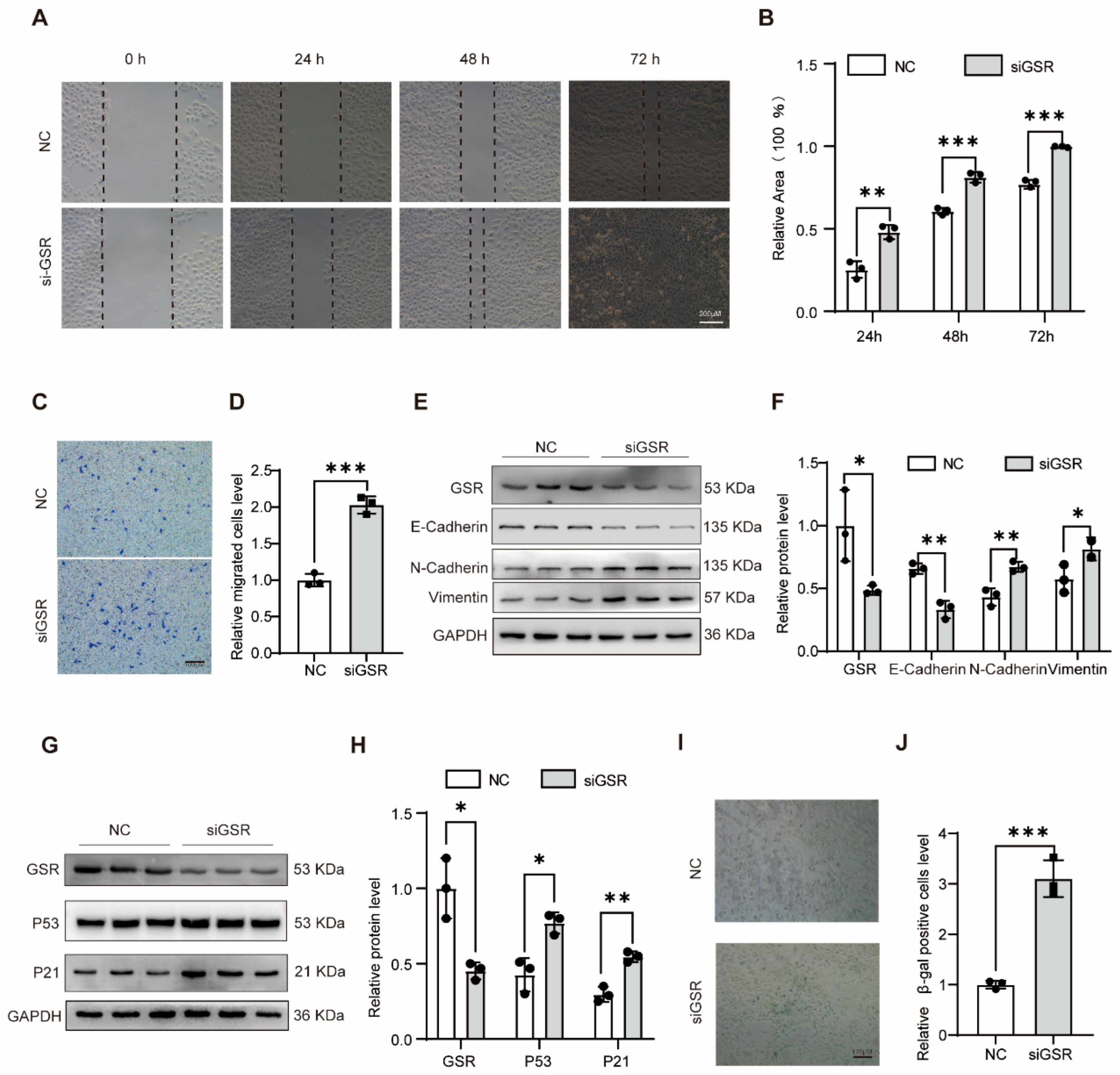 Biomolecules 15 01050 g002