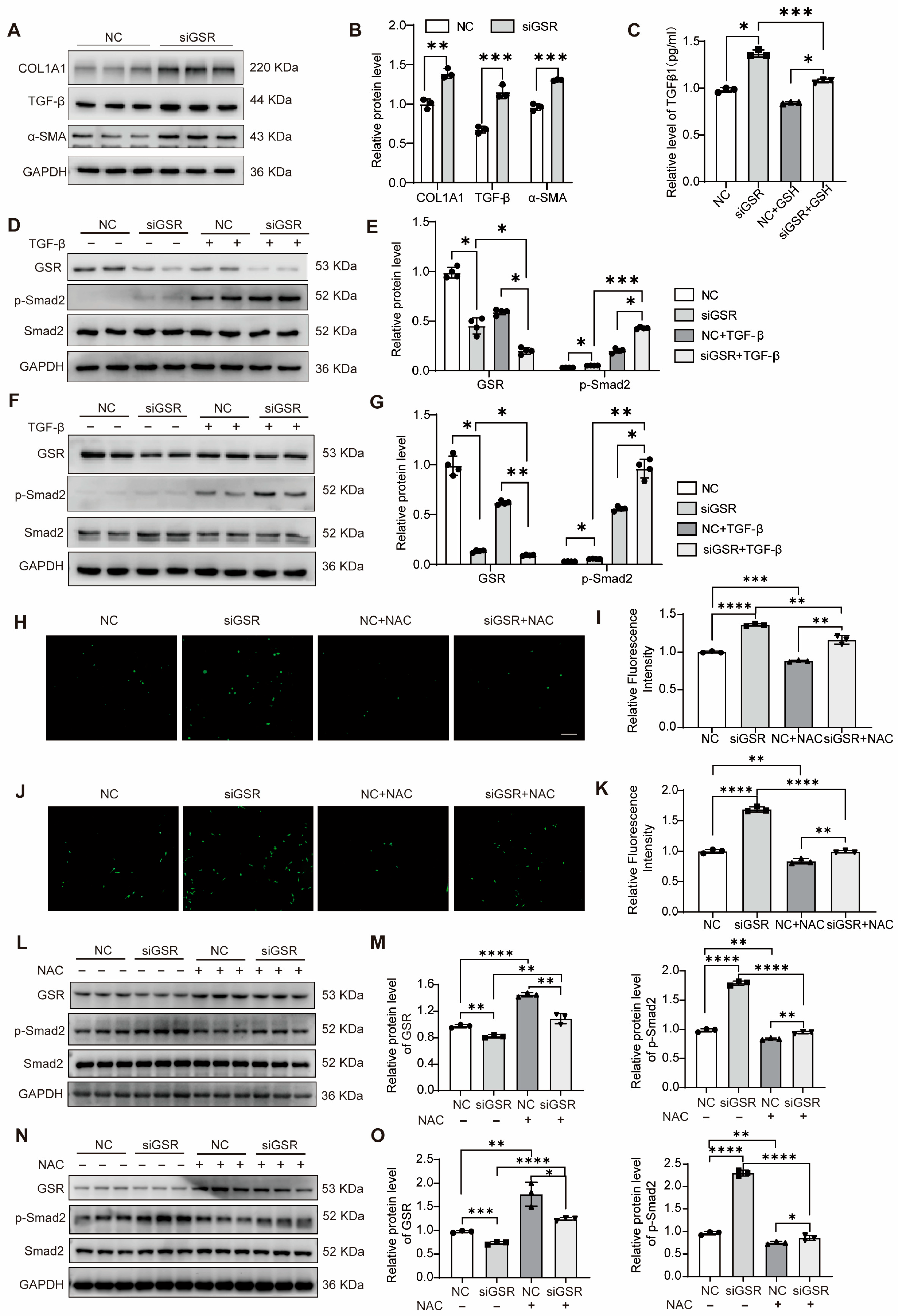 Biomolecules 15 01050 g006