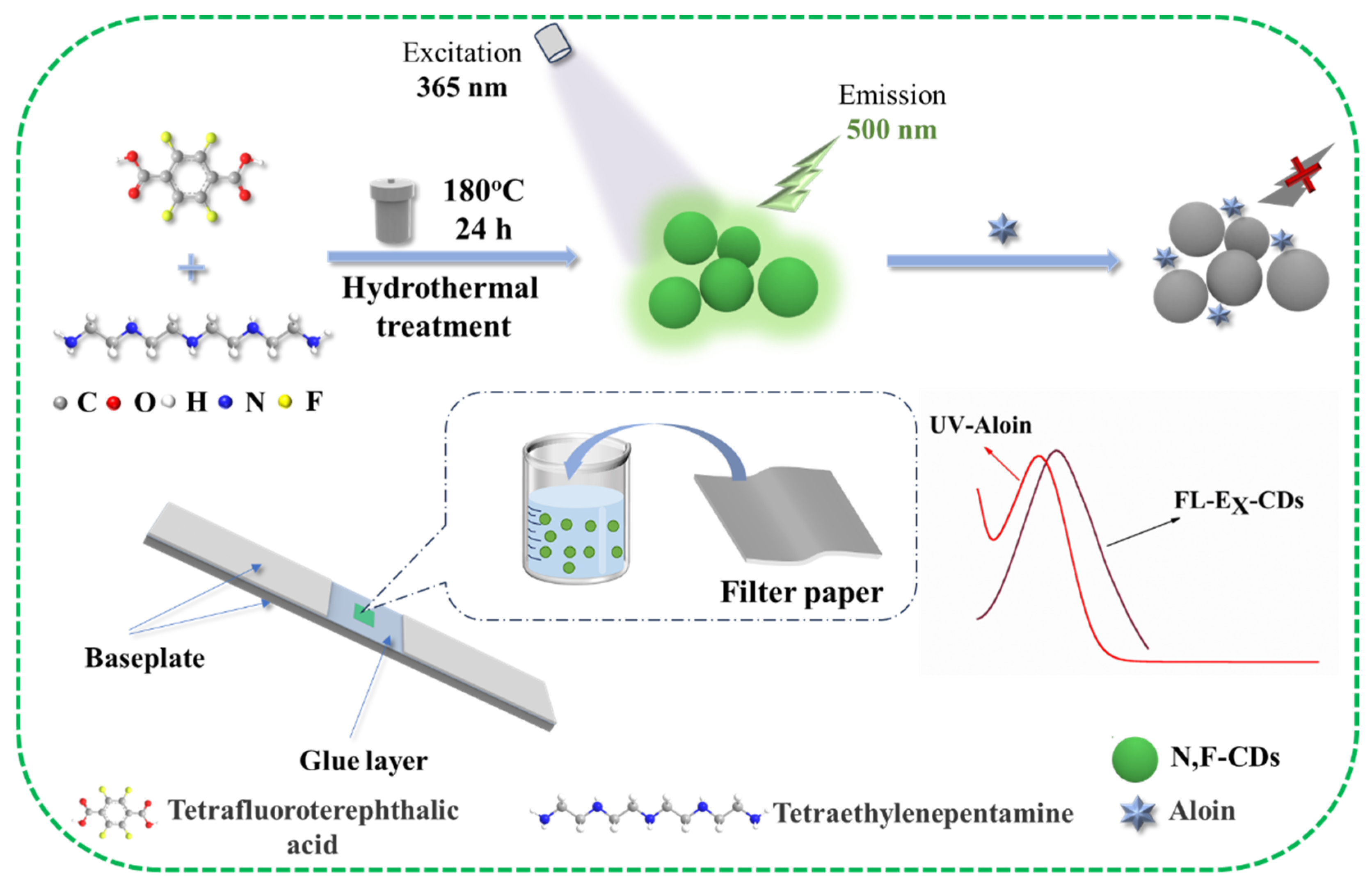 Biomolecules 15 01052 g001