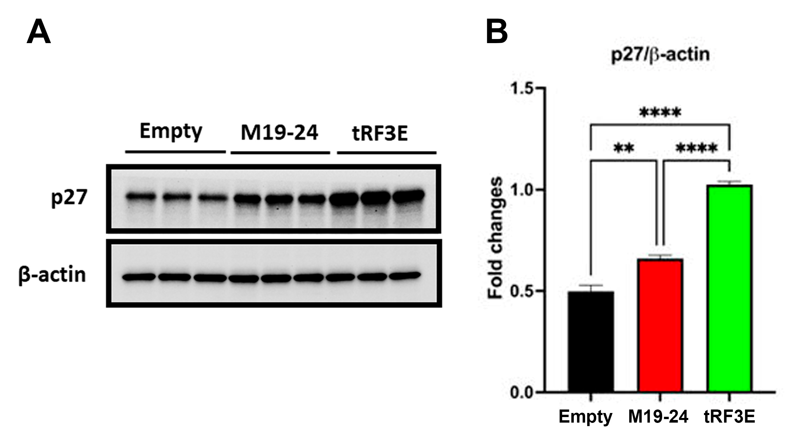 Biomolecules 15 01054 g009