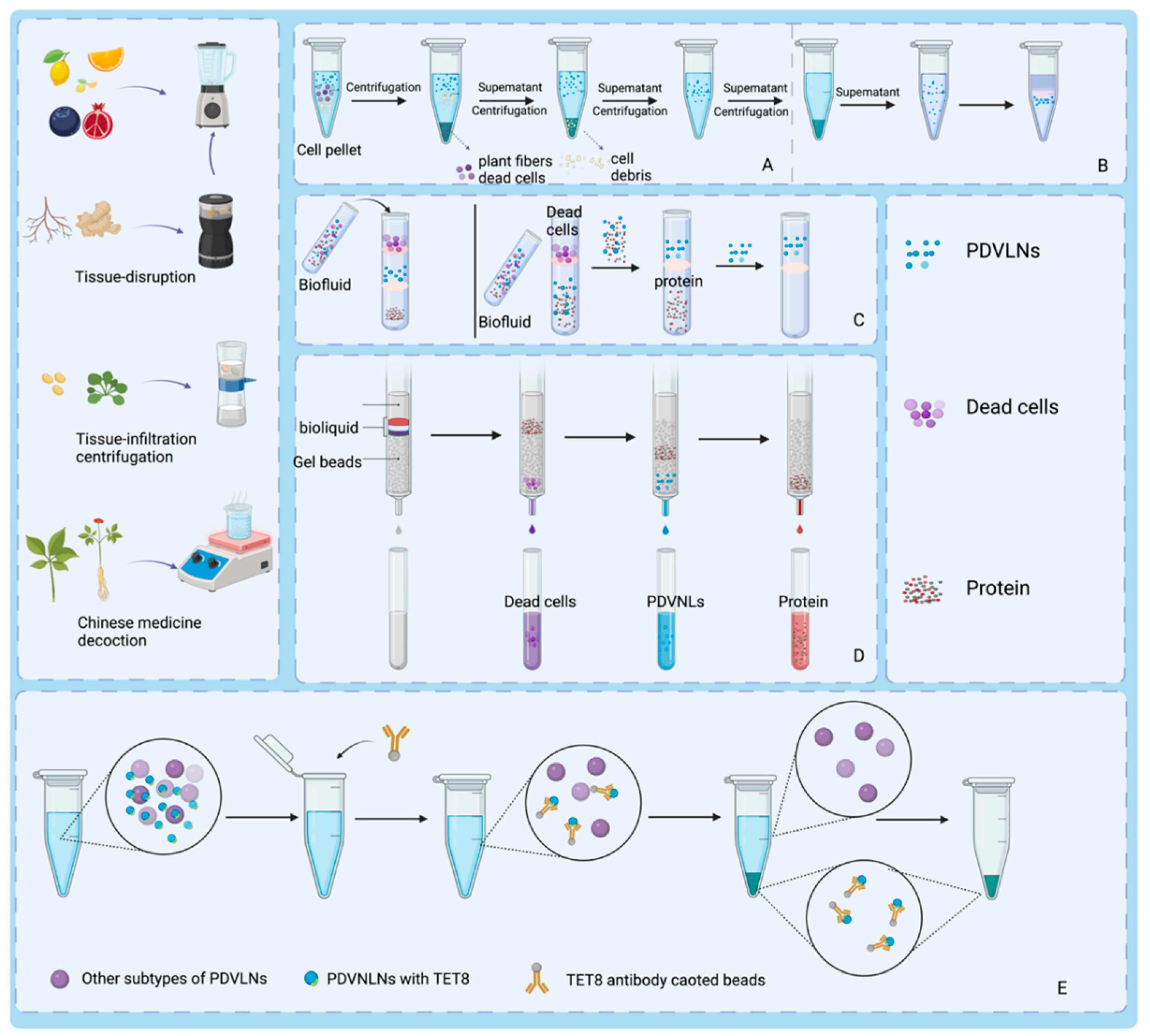 Biomolecules 15 01055 g002