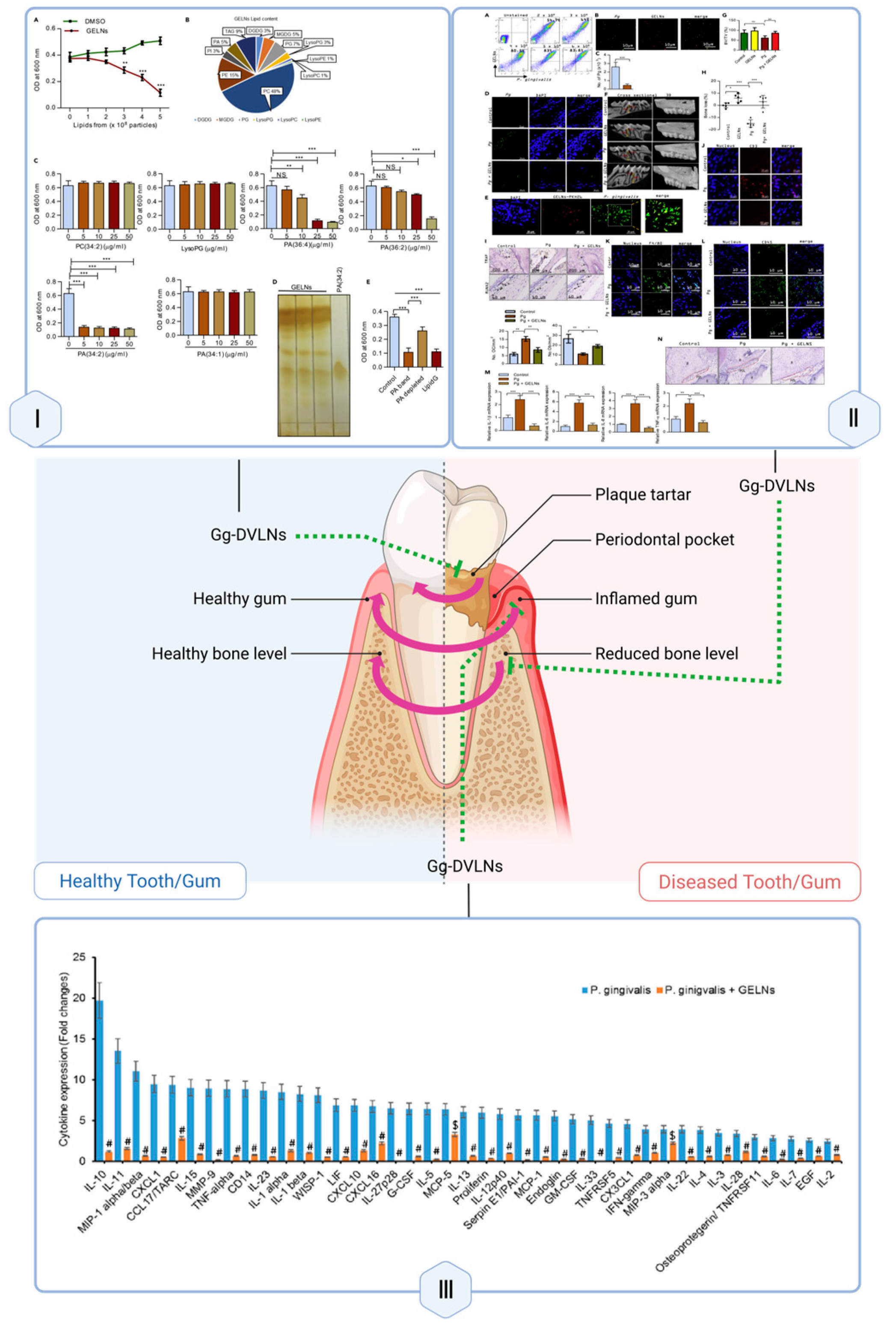 Biomolecules 15 01055 g007