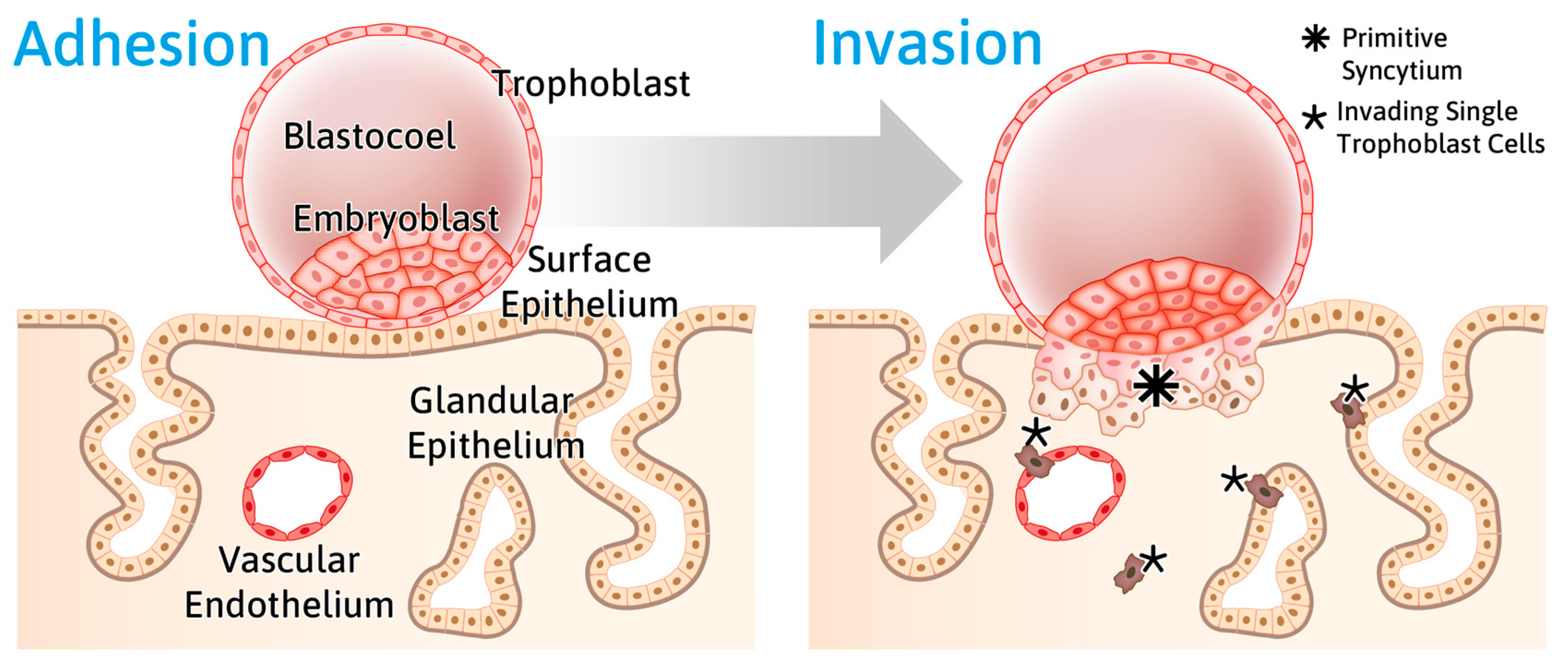 Biomolecules 15 01057 g002