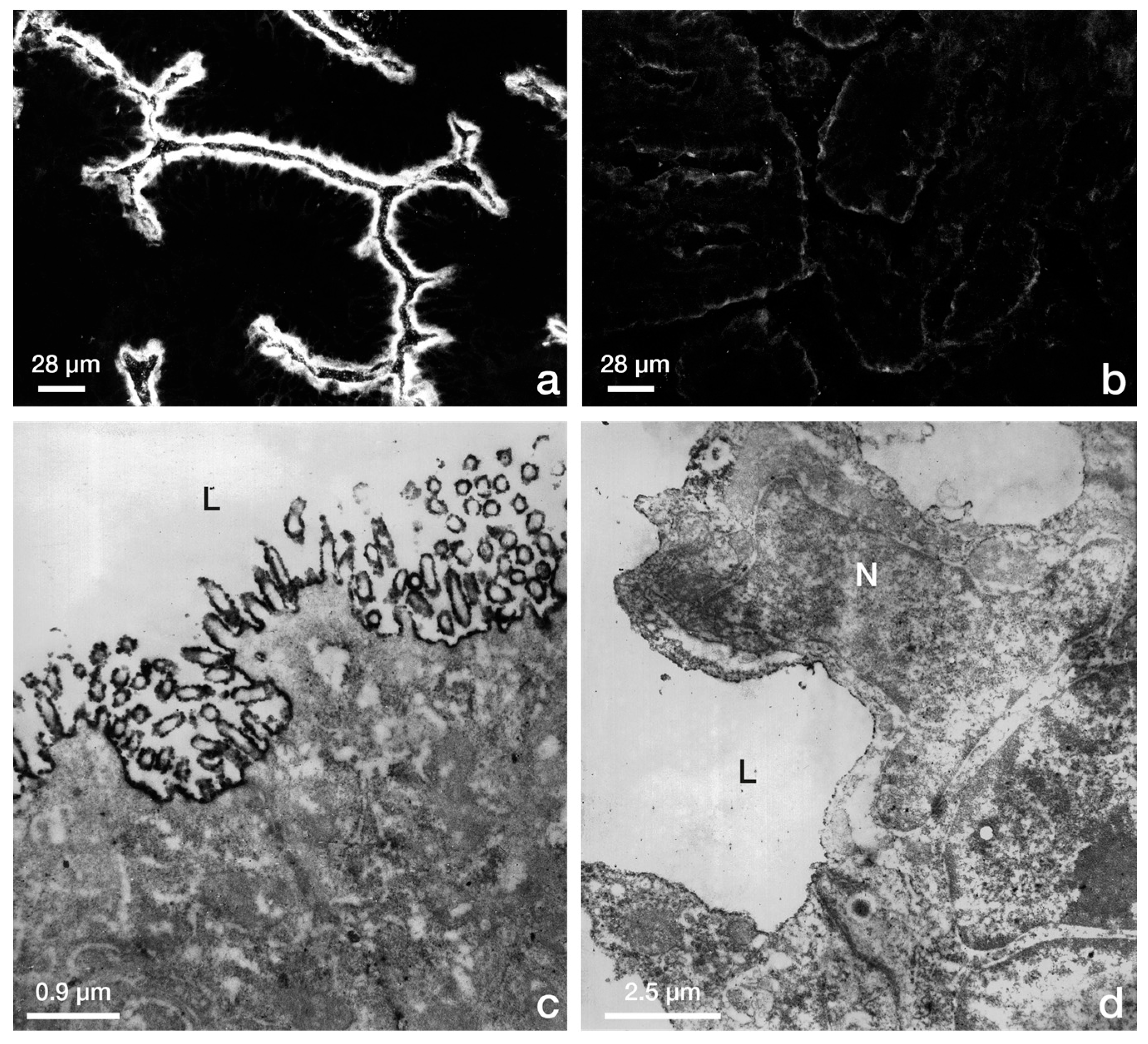 Biomolecules 15 01057 g003