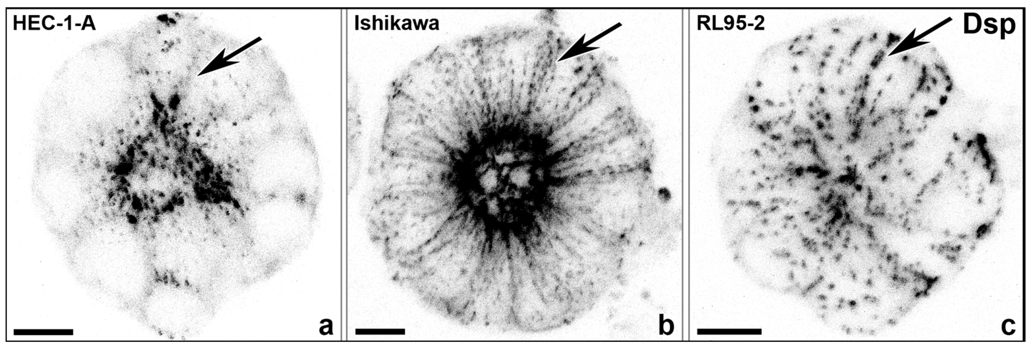 Biomolecules 15 01057 g015