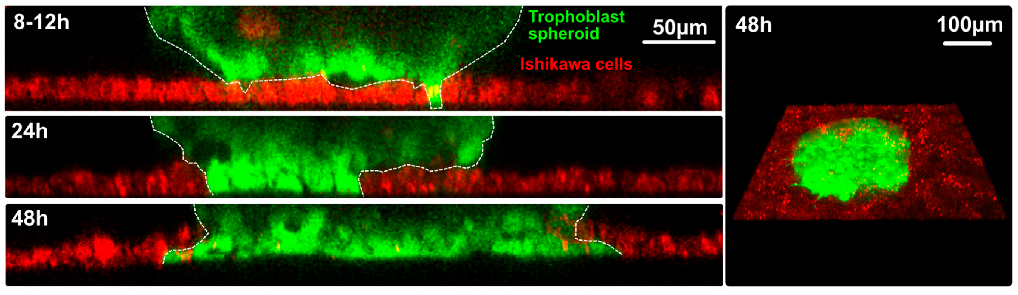 Biomolecules 15 01057 g022