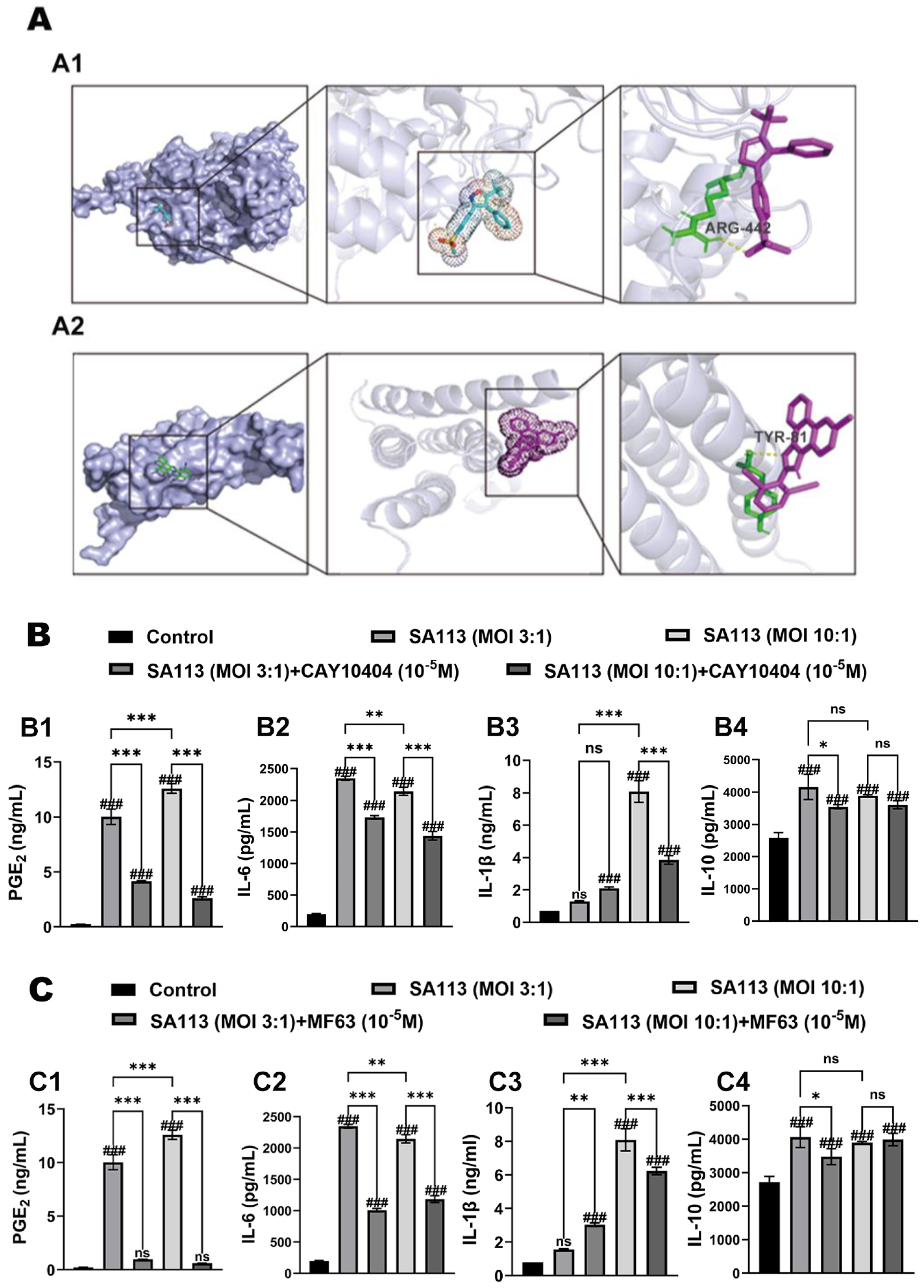 Regulatory Effect of PGE2-EP2/EP4 Receptor Pathway on