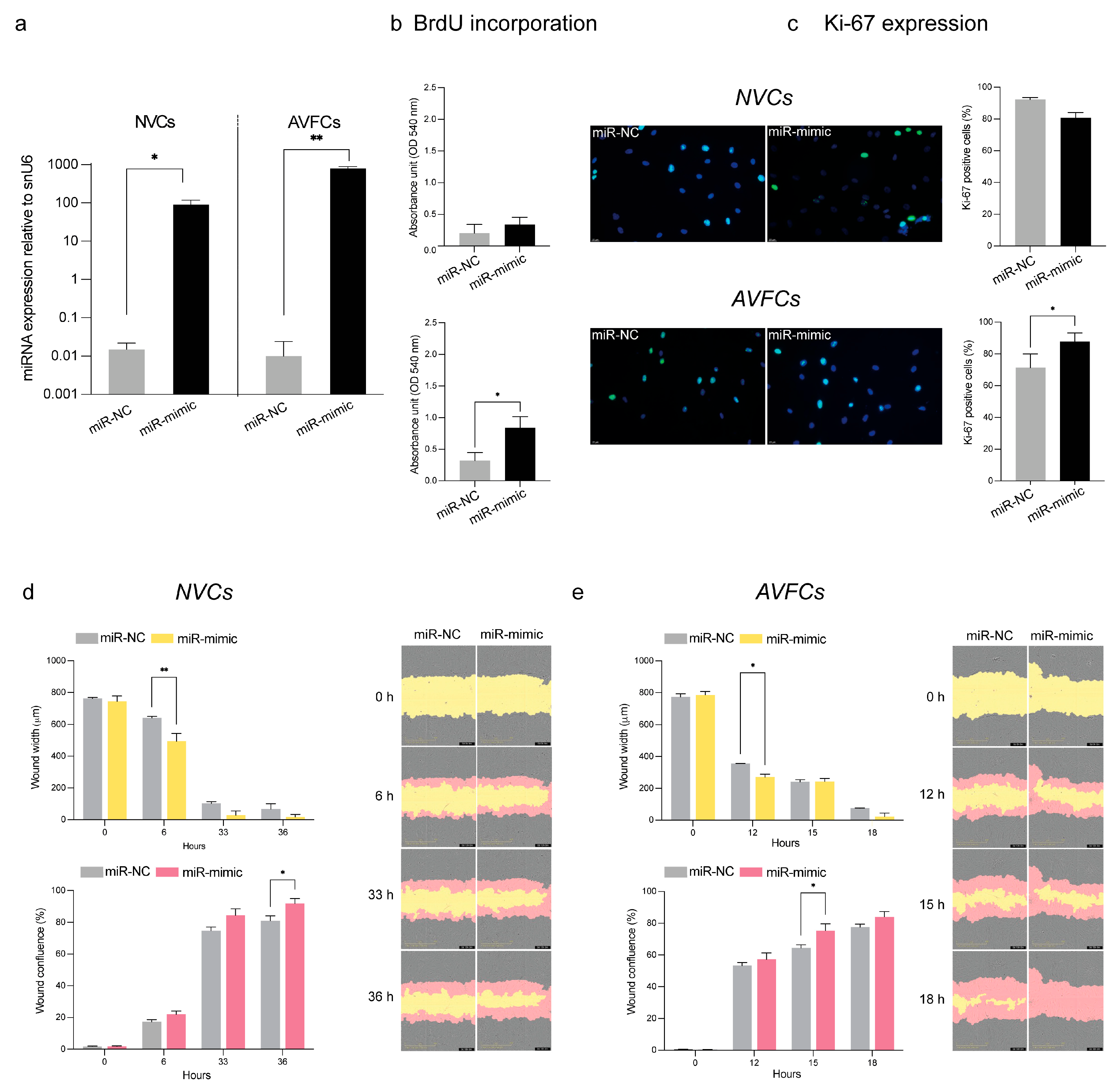 Biomolecules 15 01064 g004 Biomolecules 15 01064 g004