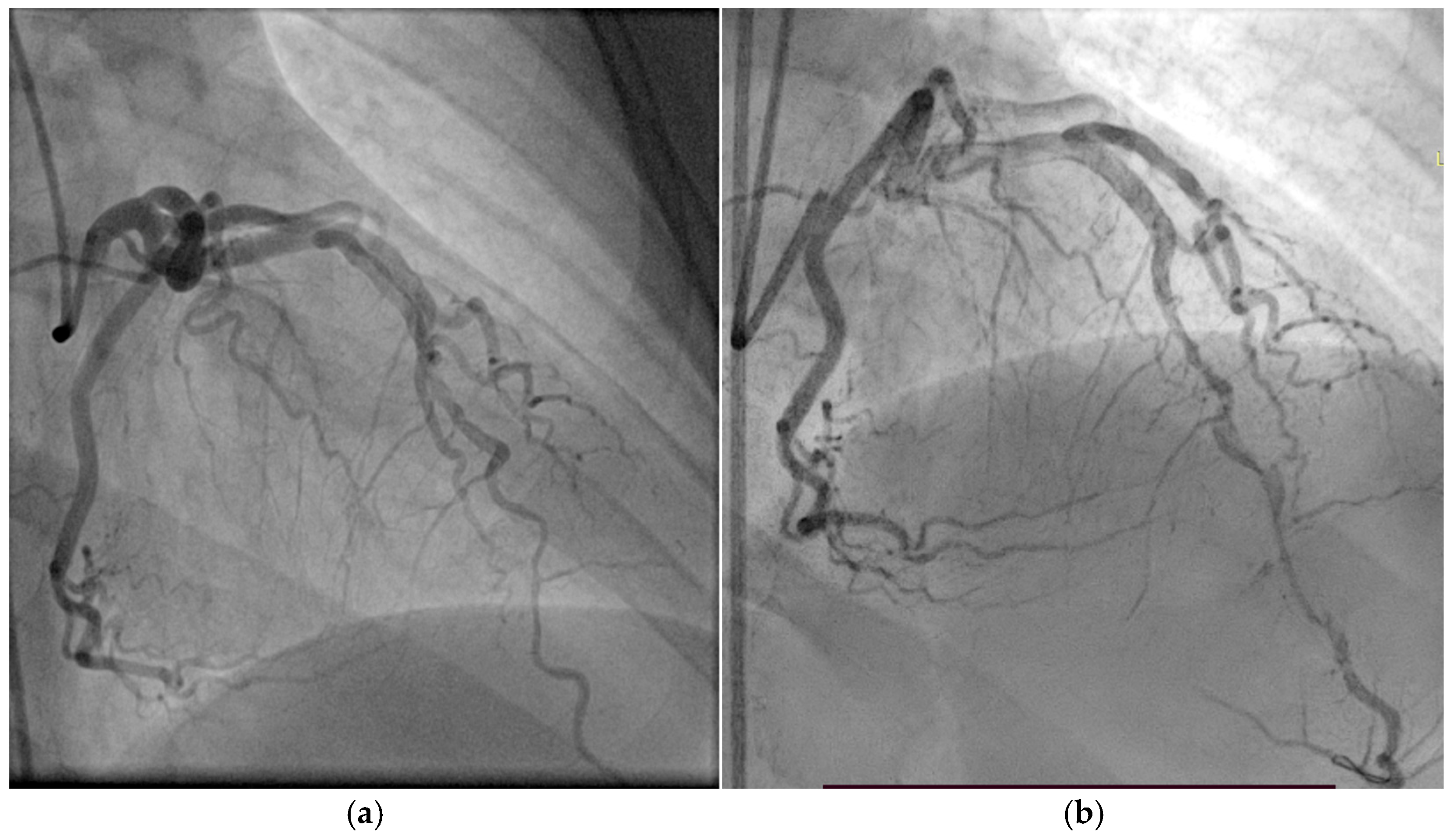 Biomolecules 15 01065 g008