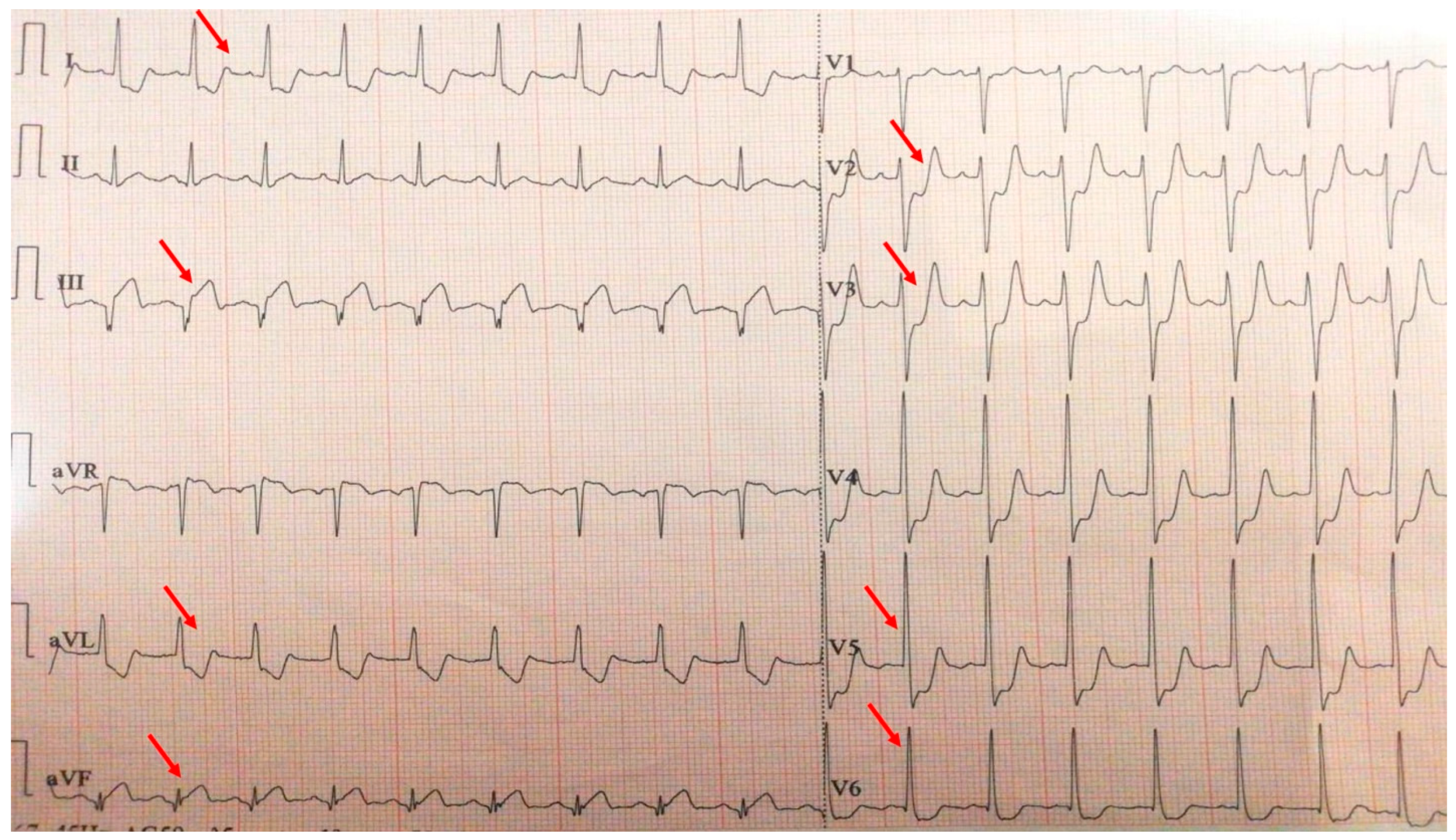Biomolecules 15 01065 g009
