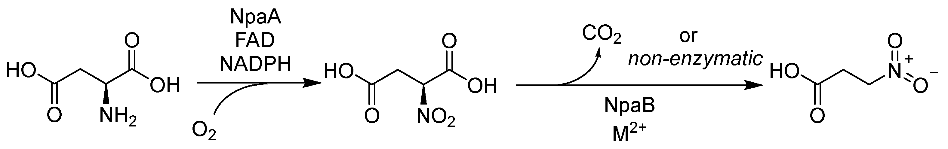 Biomolecules 15 01066 sch001