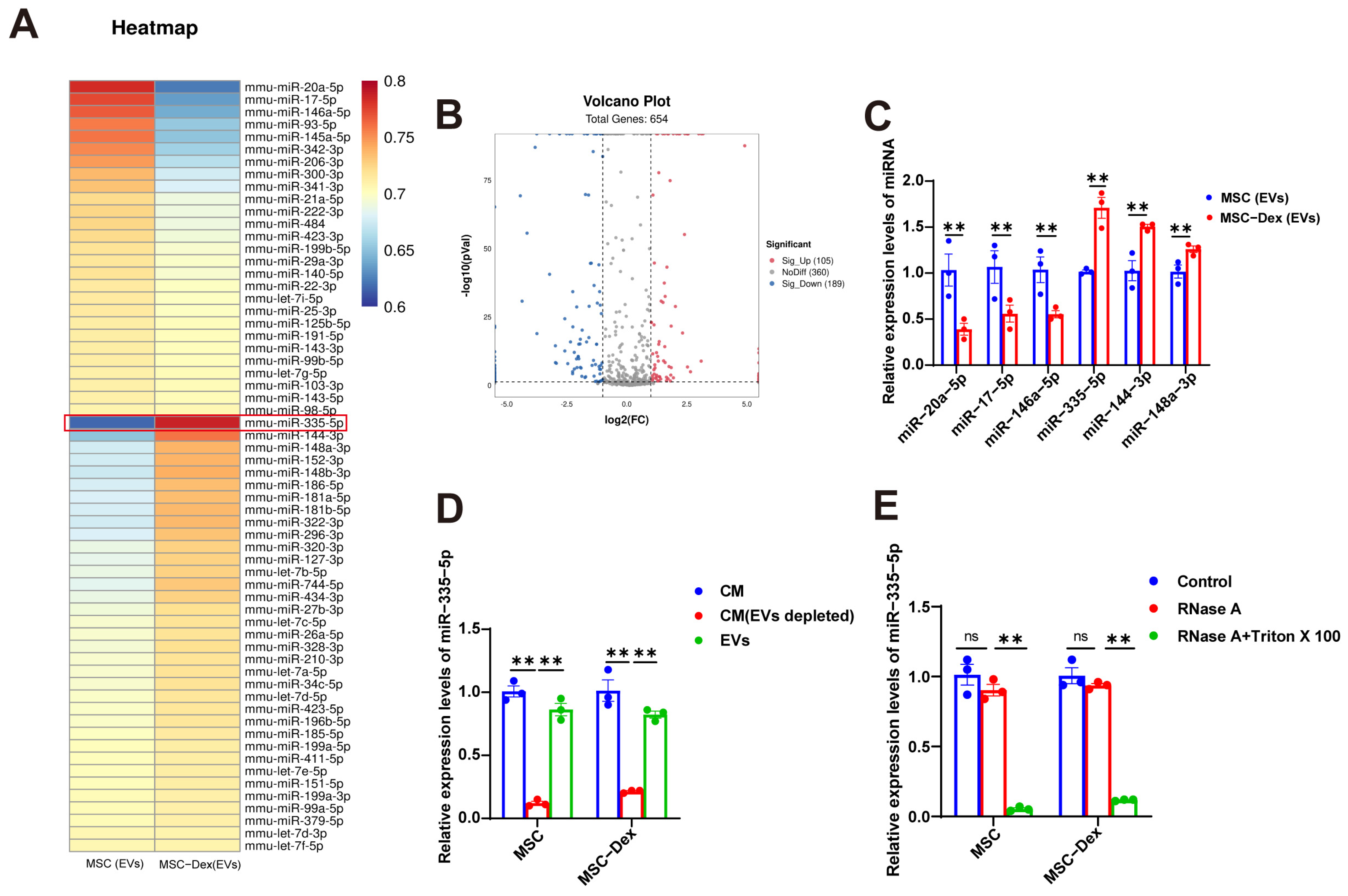 Biomolecules 15 01072 g004