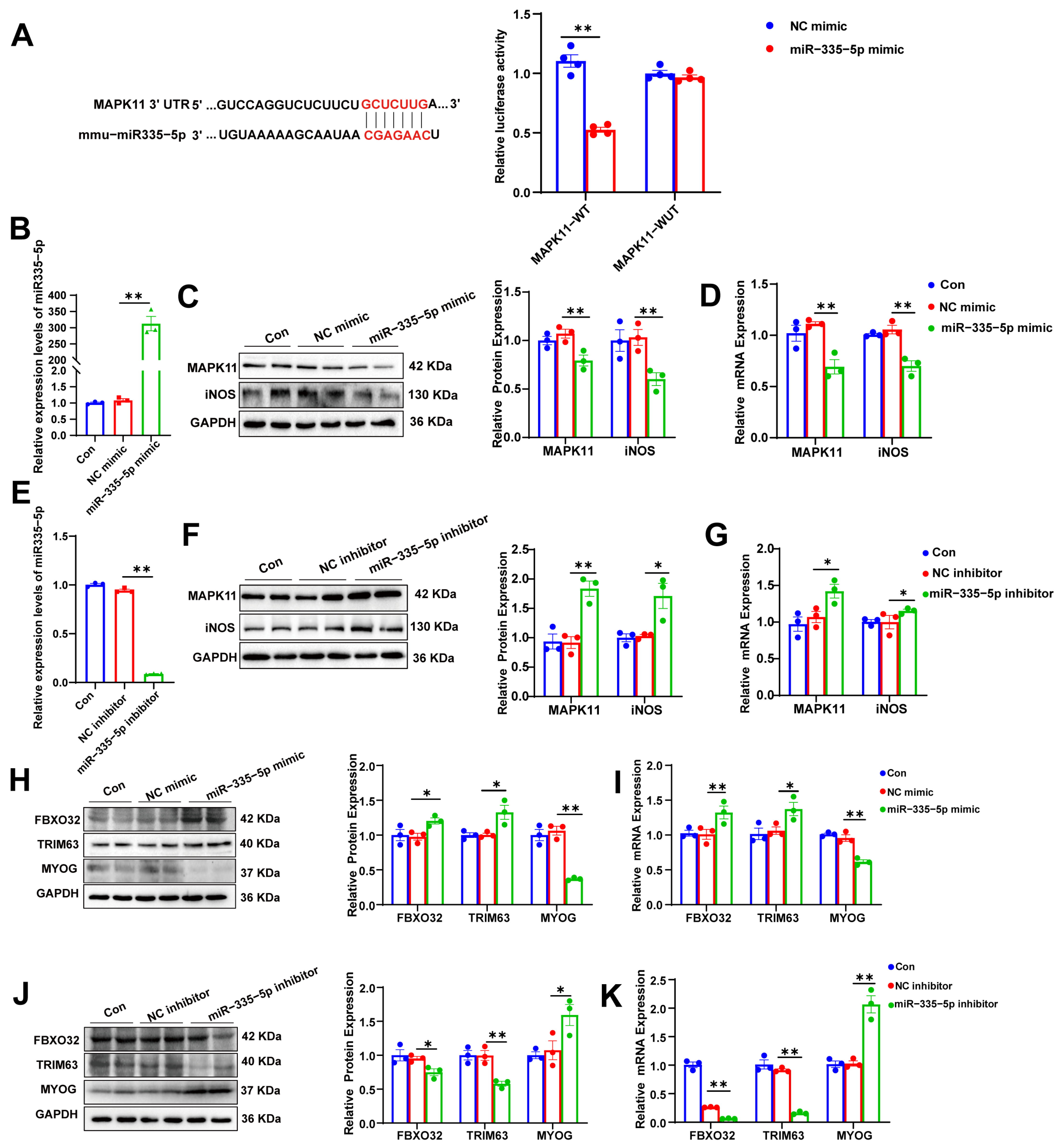 Biomolecules 15 01072 g005