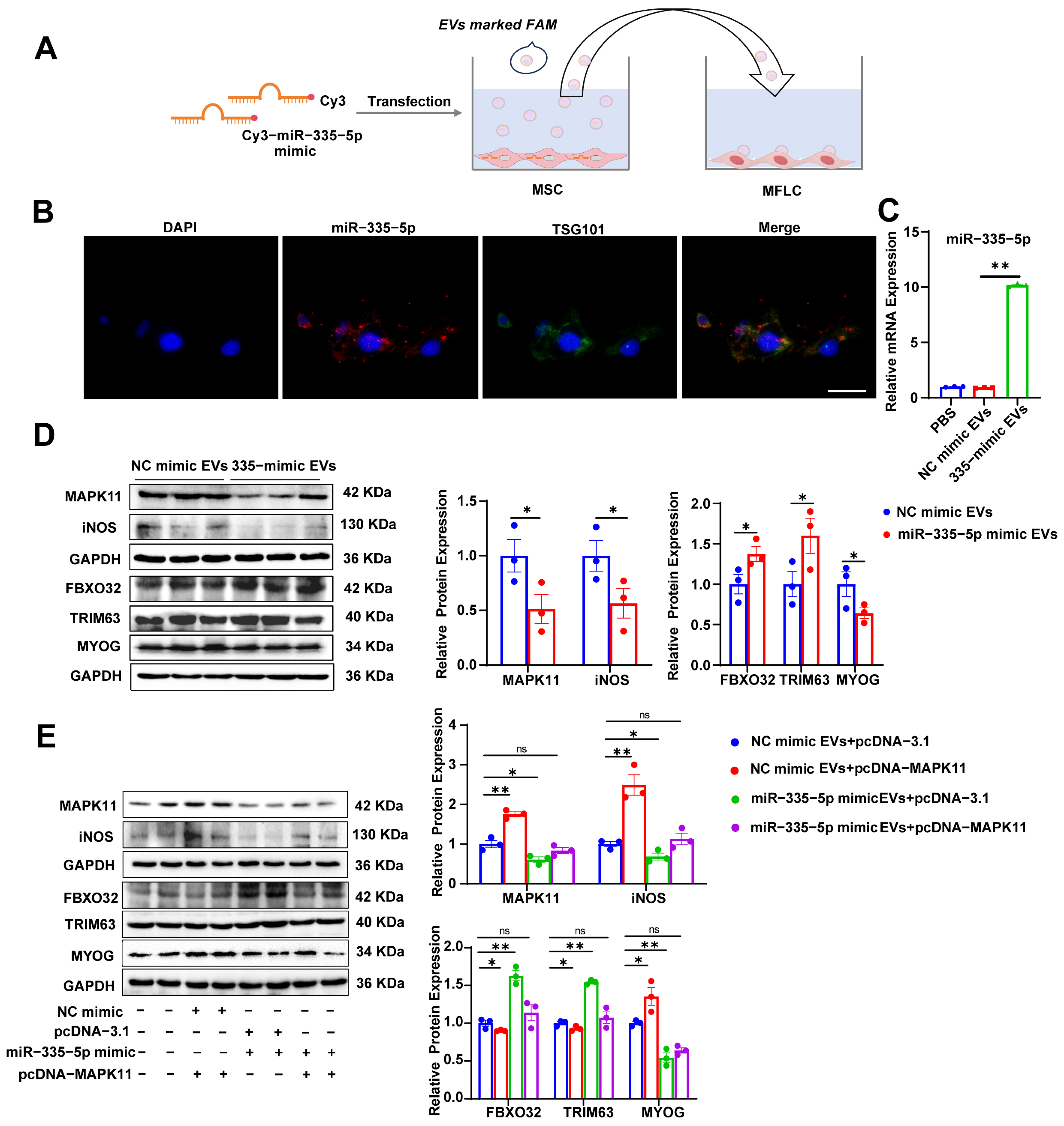 Biomolecules 15 01072 g006