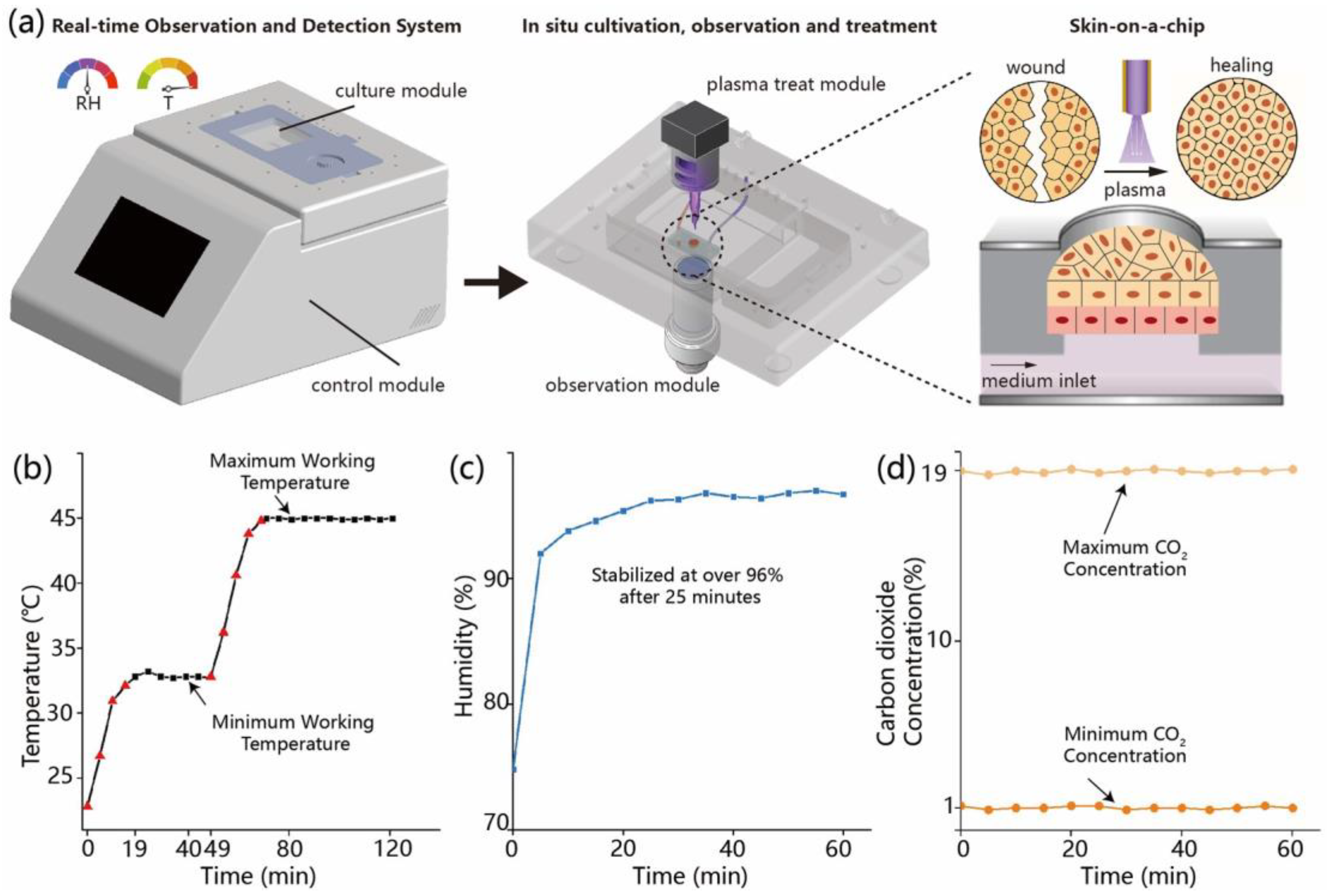 Biomolecules 15 01077 g001