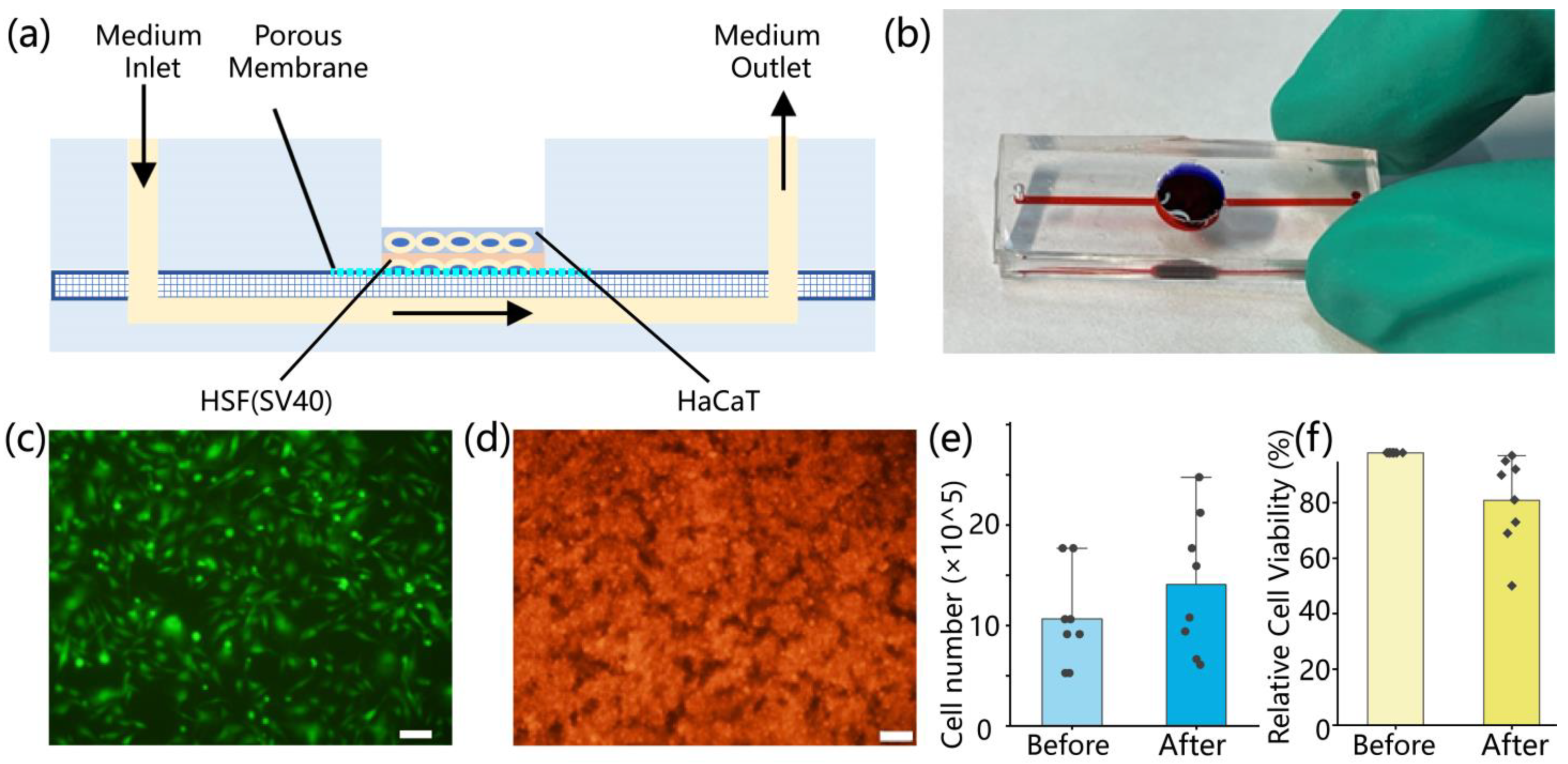 Biomolecules 15 01077 g002
