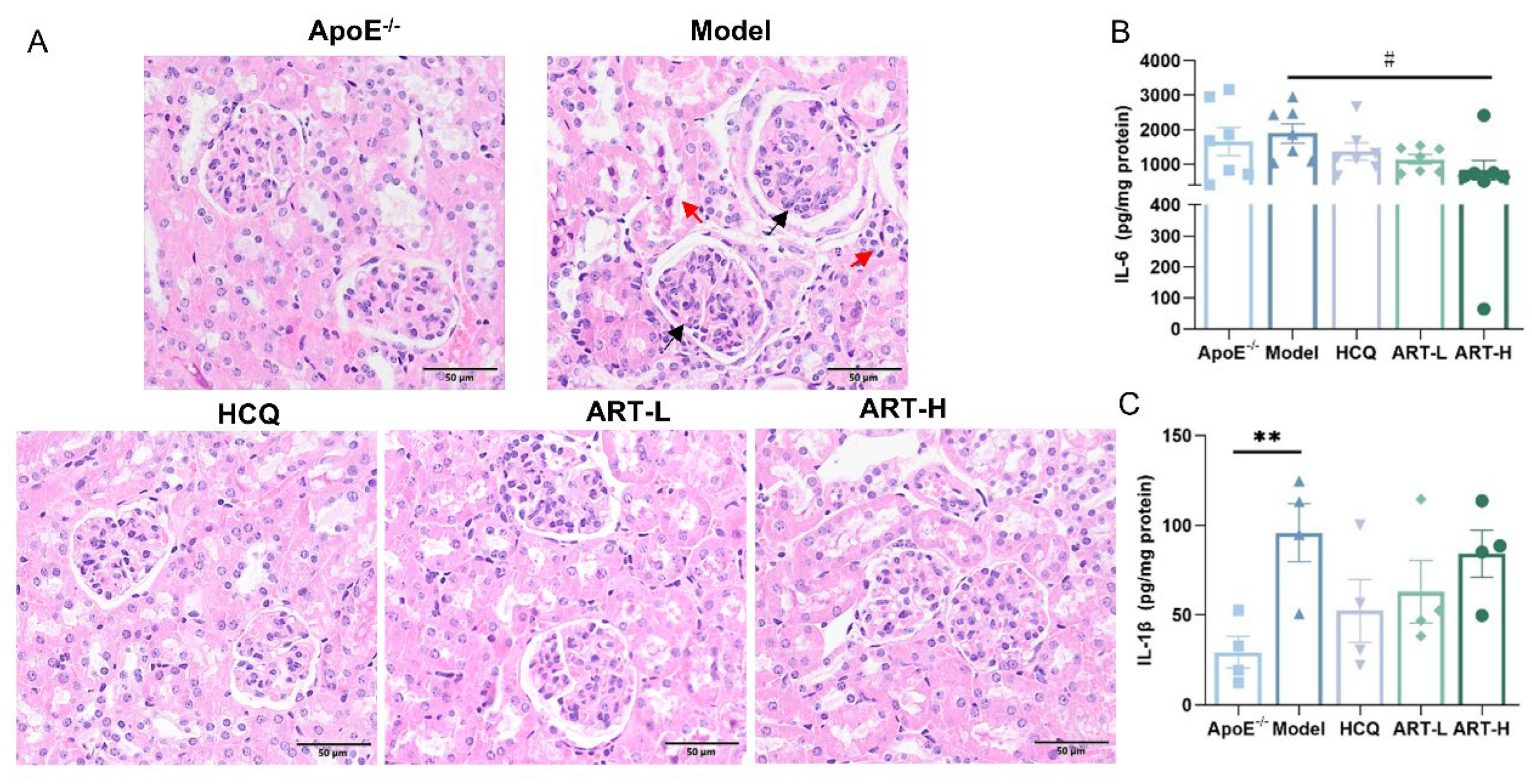 Biomolecules 15 01078 g003 Biomolecules 15 01078 g003