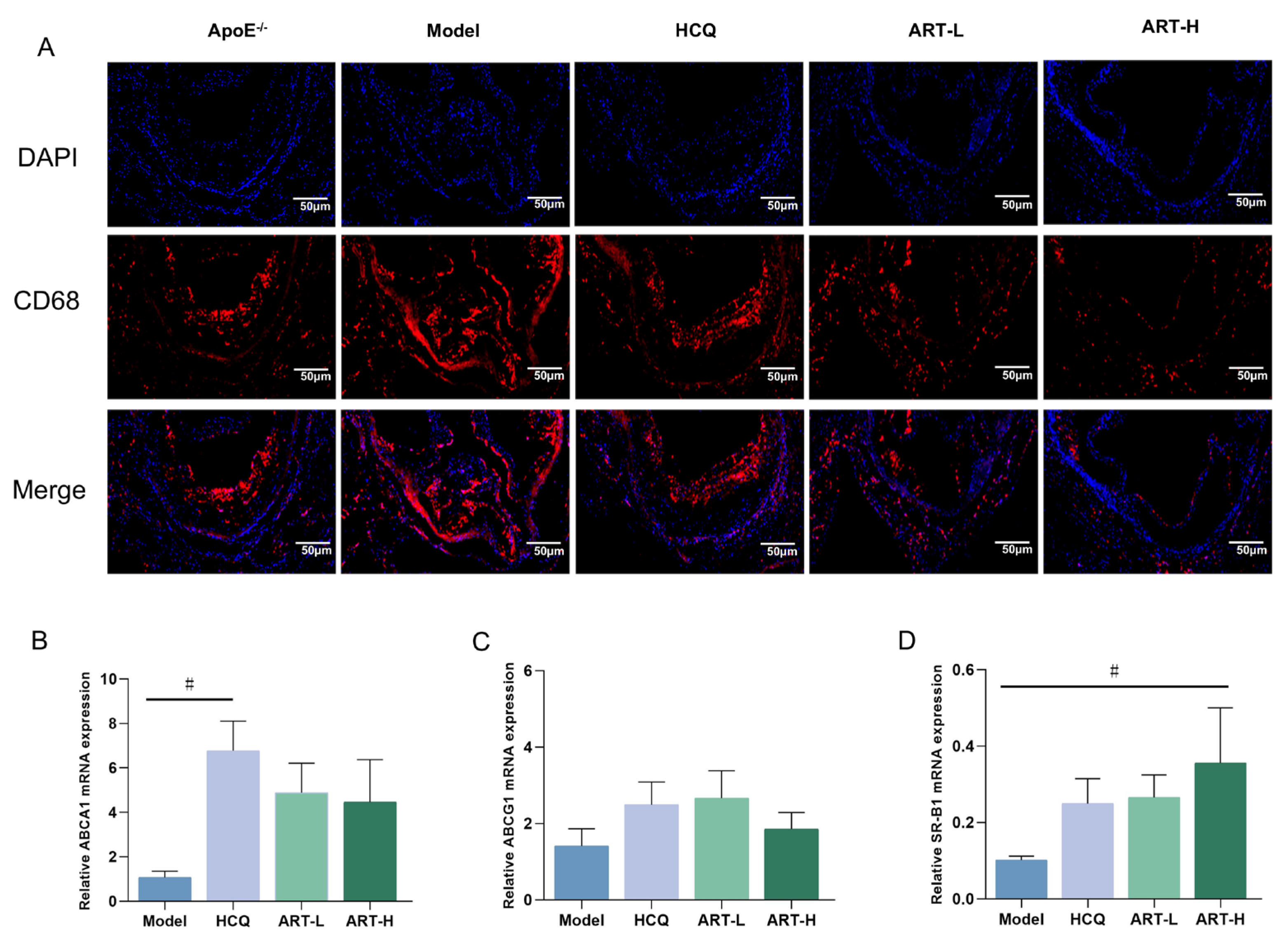 Biomolecules 15 01078 g004 Biomolecules 15 01078 g004