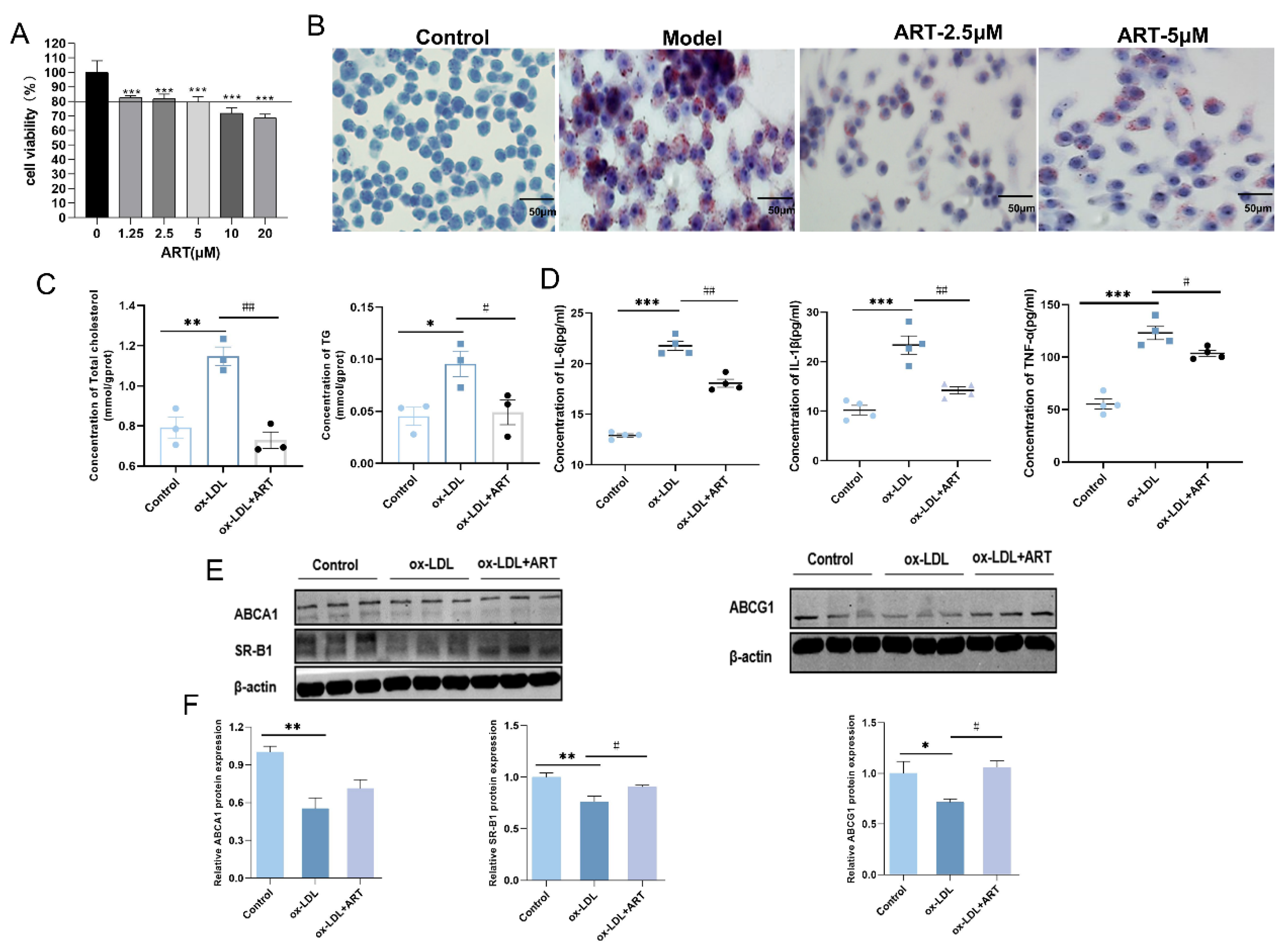 Biomolecules 15 01078 g005 Biomolecules 15 01078 g005
