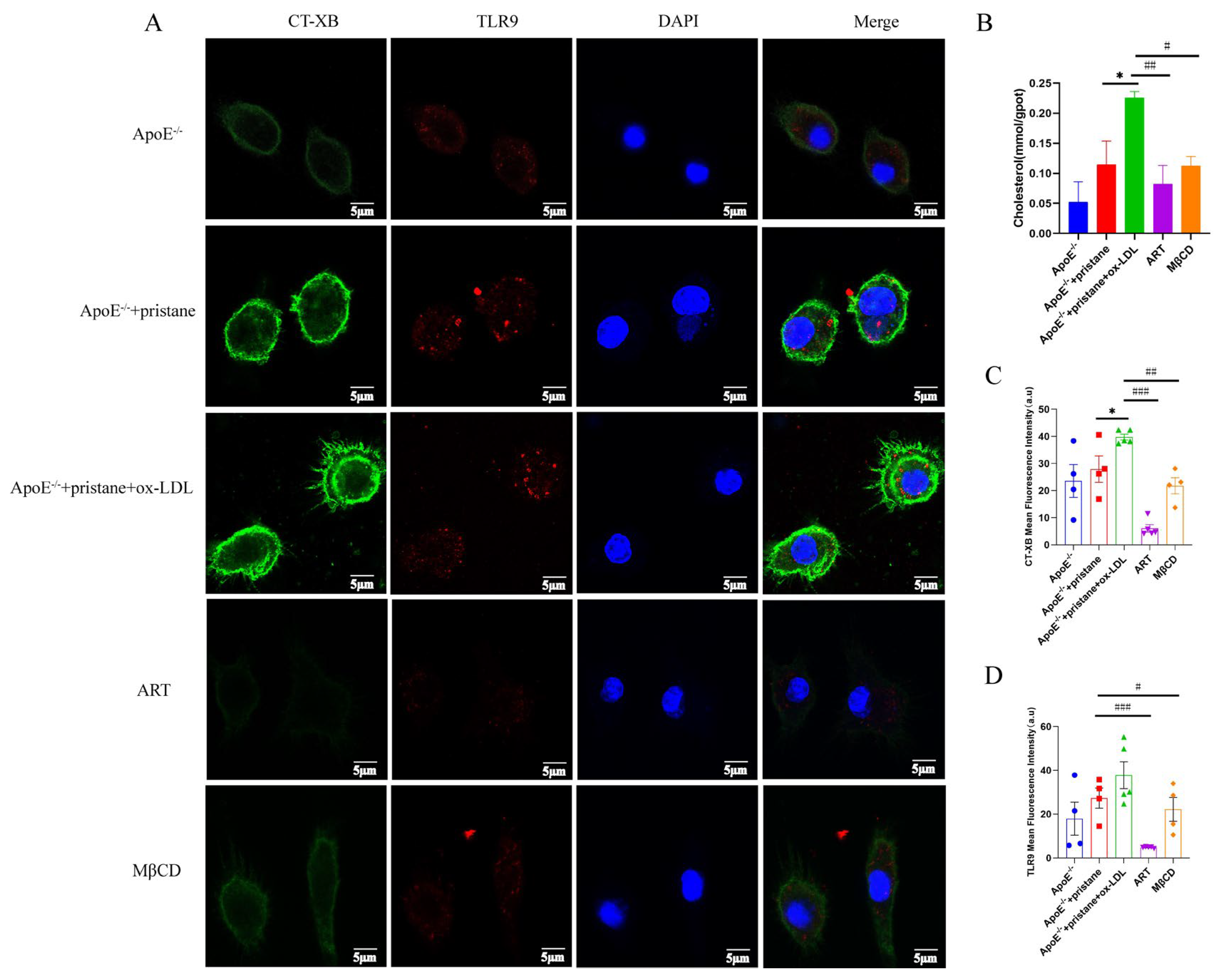 Biomolecules 15 01078 g006 Biomolecules 15 01078 g006