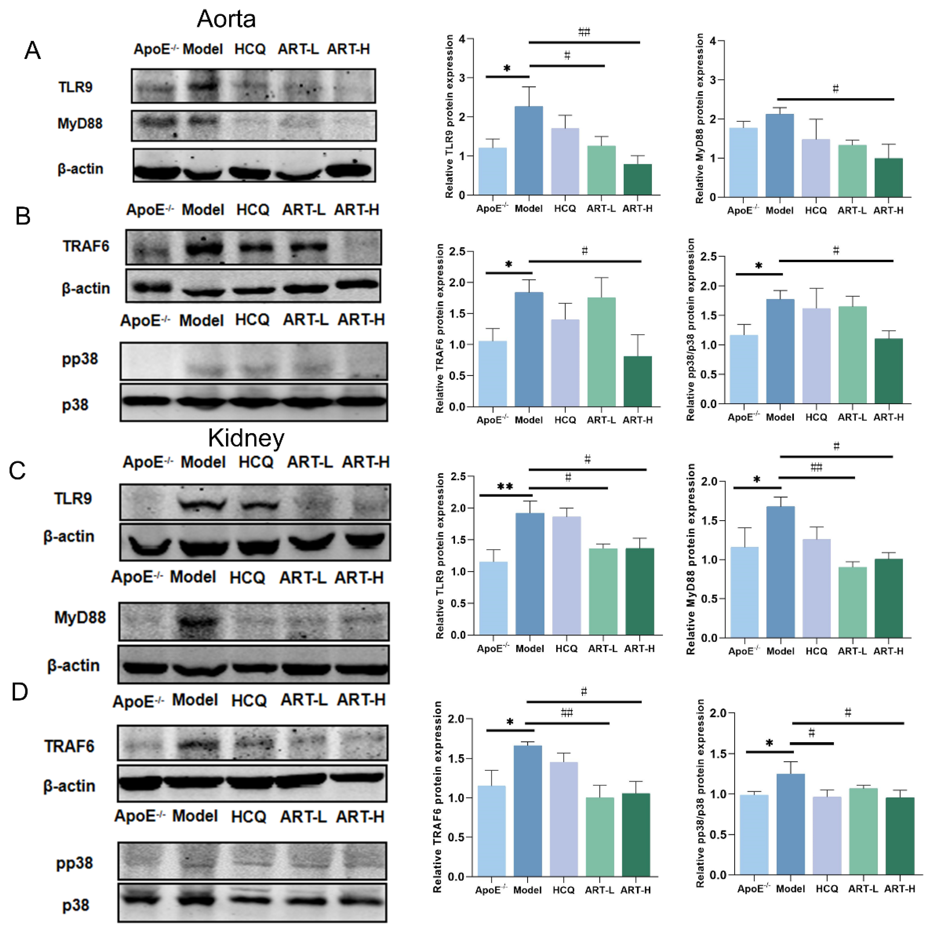 Biomolecules 15 01078 g007 Biomolecules 15 01078 g007