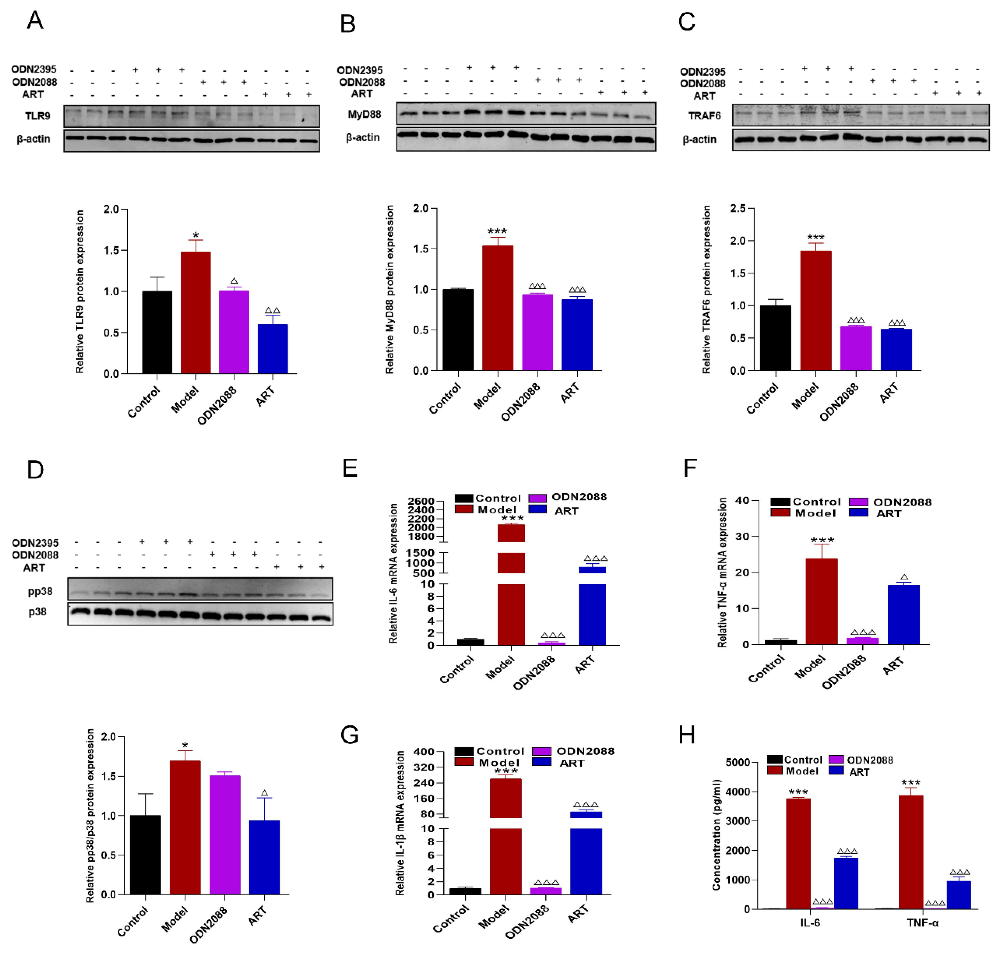 Biomolecules 15 01078 g008 Biomolecules 15 01078 g008