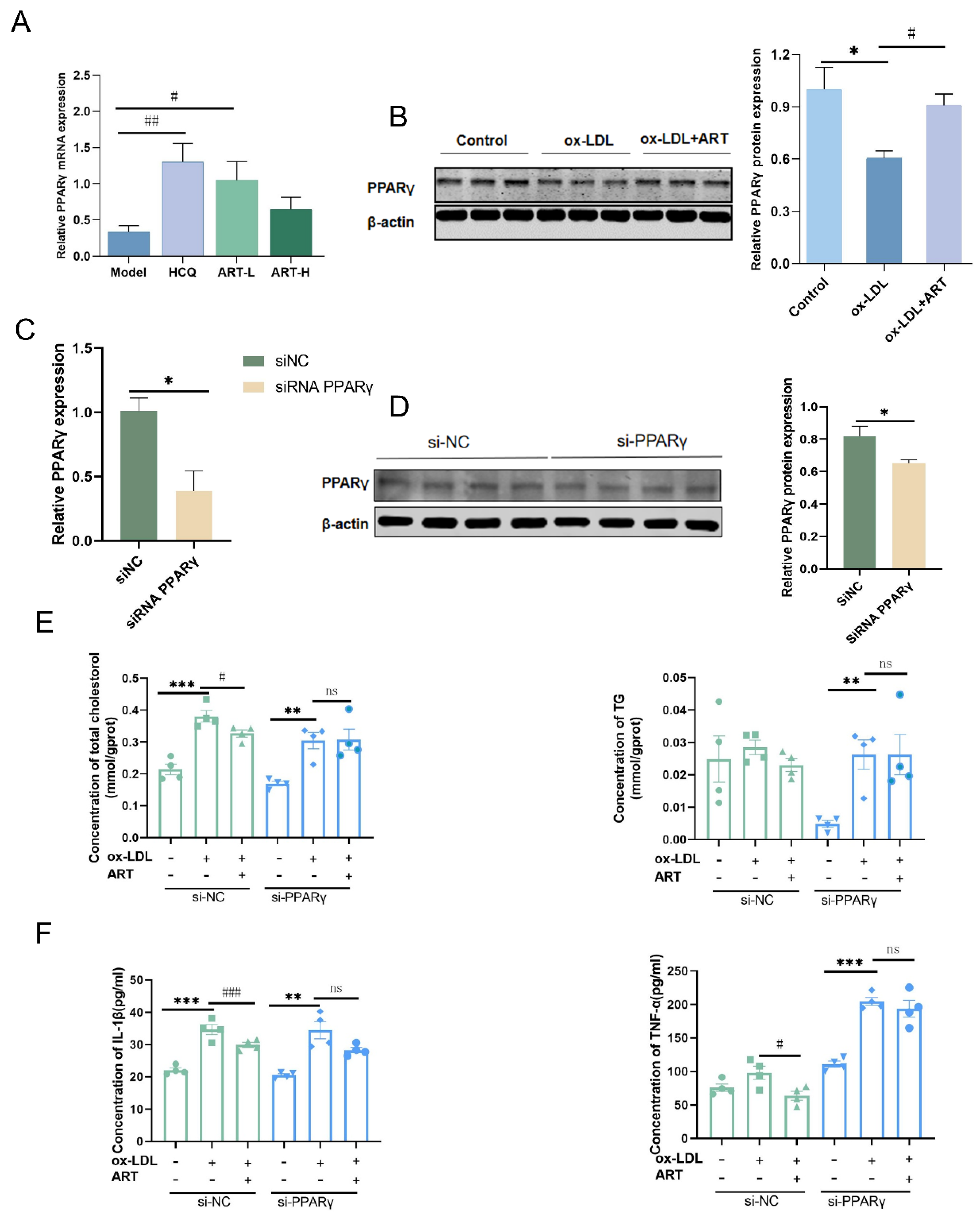 Biomolecules 15 01078 g010 Biomolecules 15 01078 g010