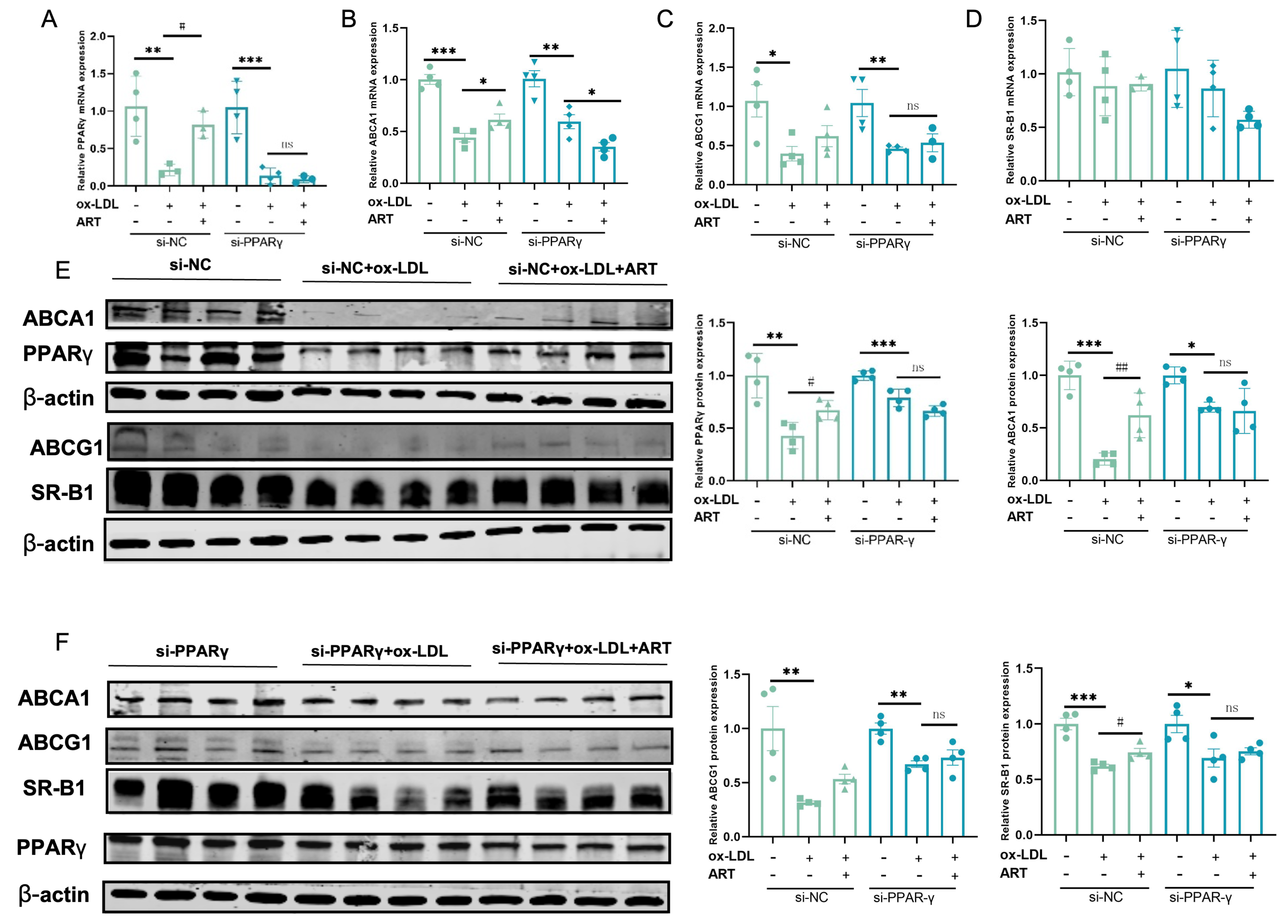 Biomolecules 15 01078 g011 Biomolecules 15 01078 g011