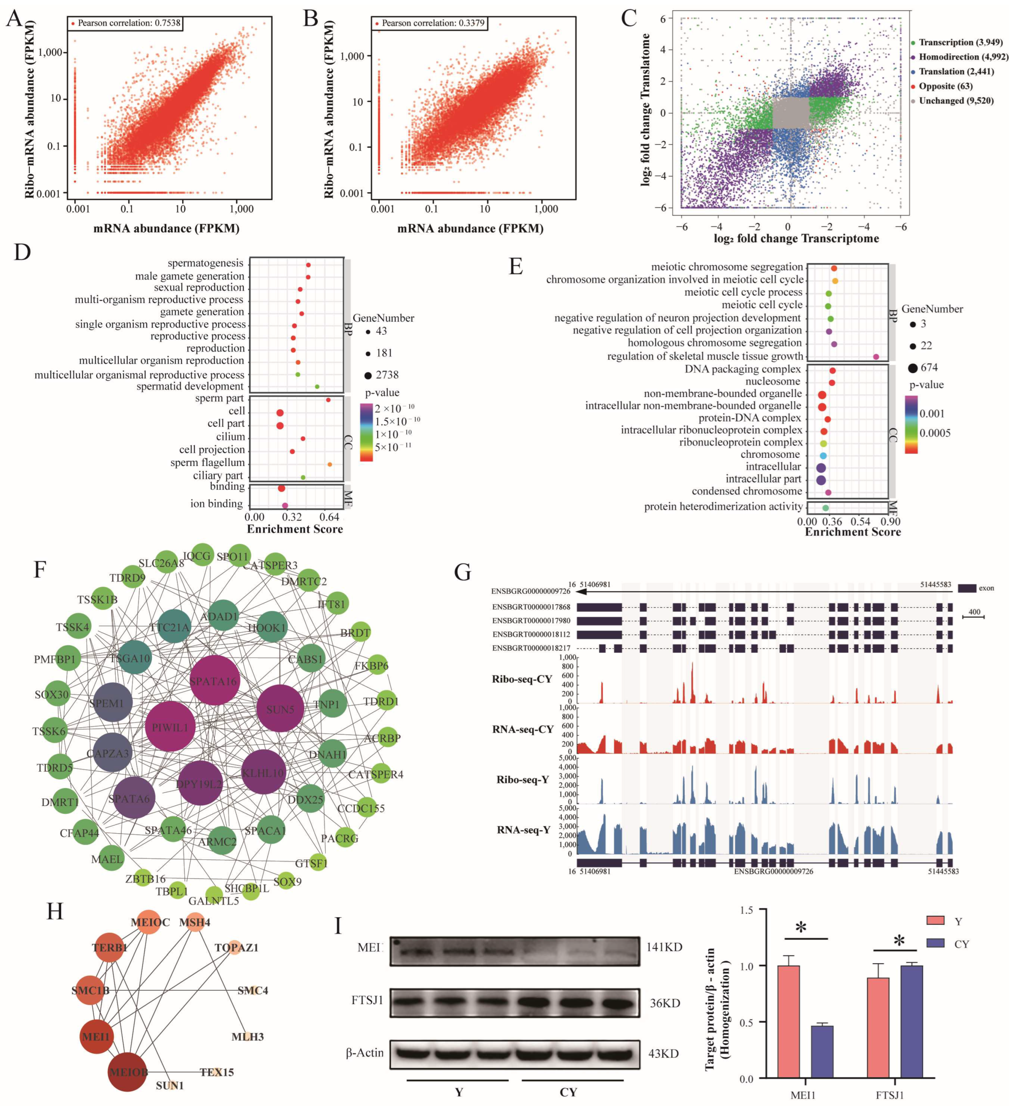 Biomolecules 15 01080 g003 Biomolecules 15 01080 g003