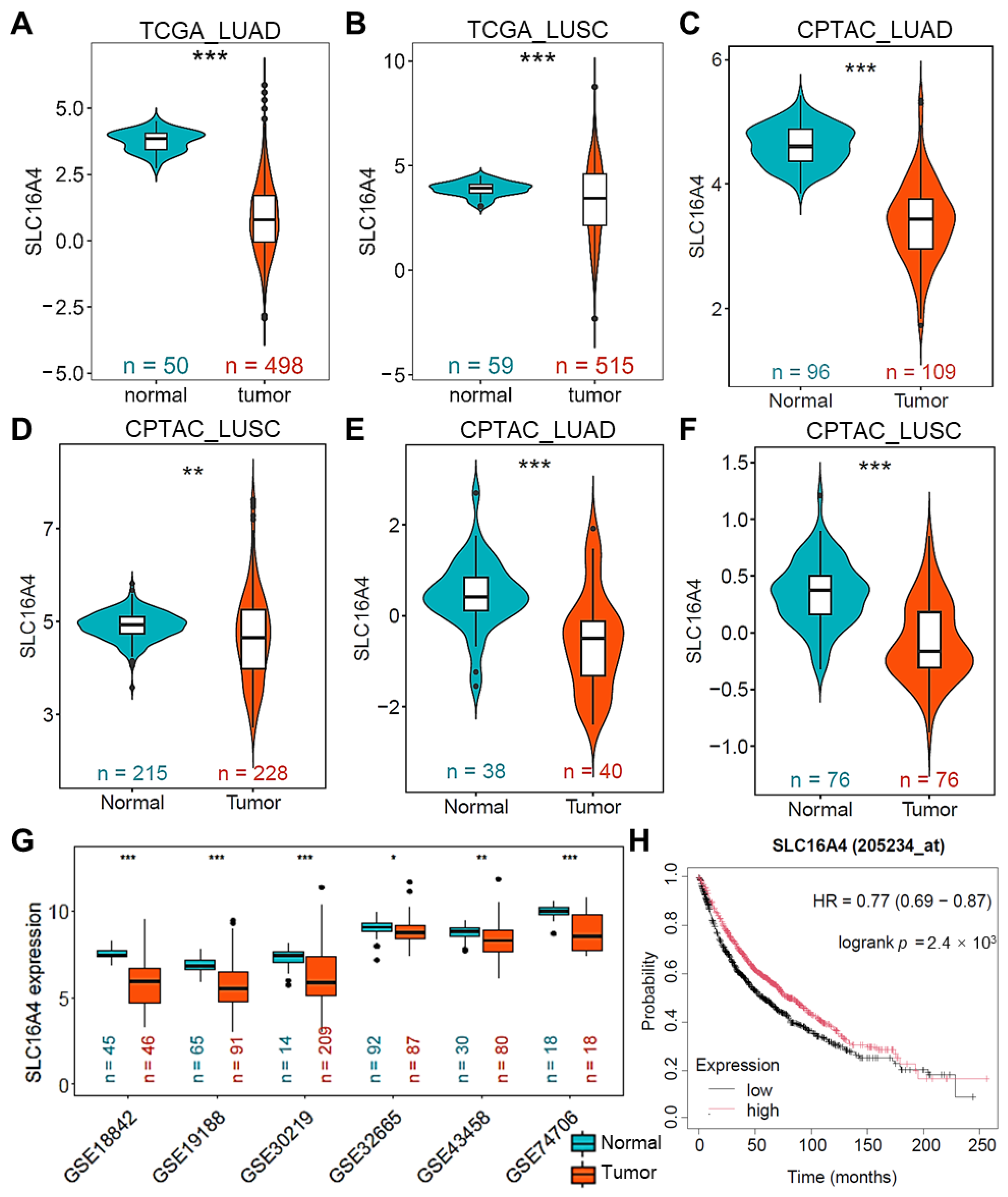Biomolecules 15 01081 g006