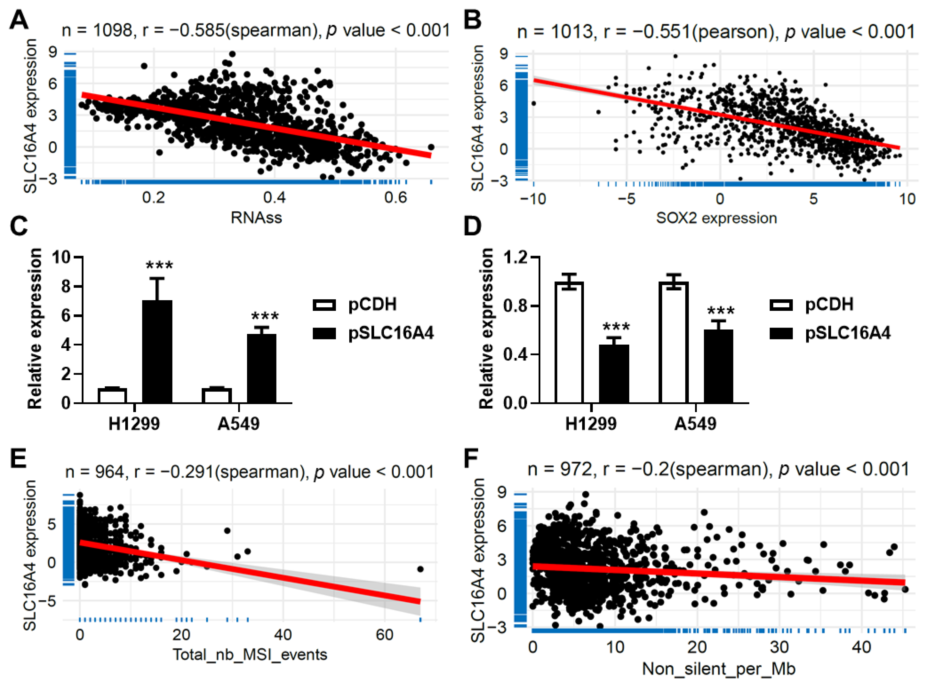 Biomolecules 15 01081 g012