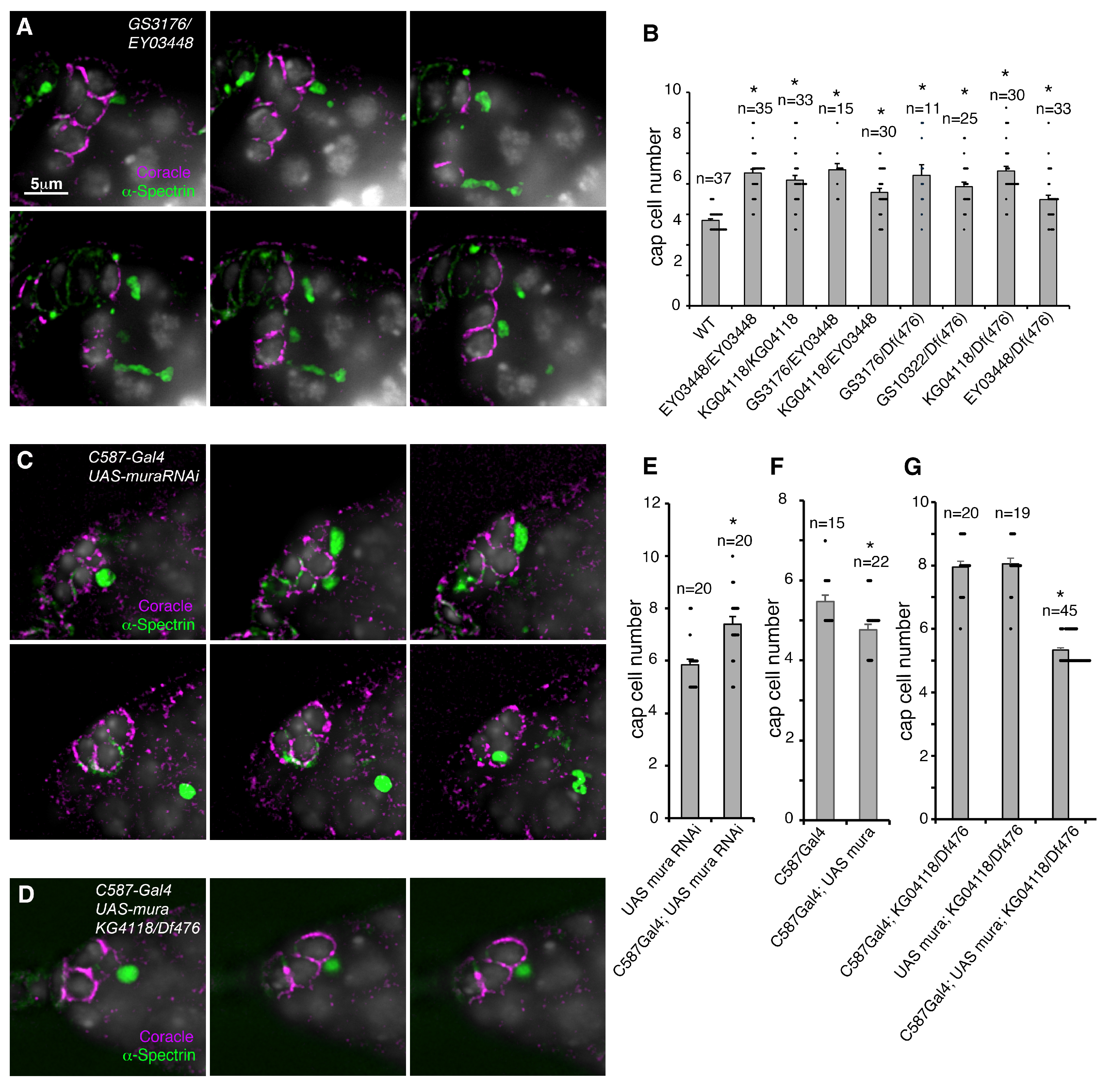 Biomolecules 15 01082 g002