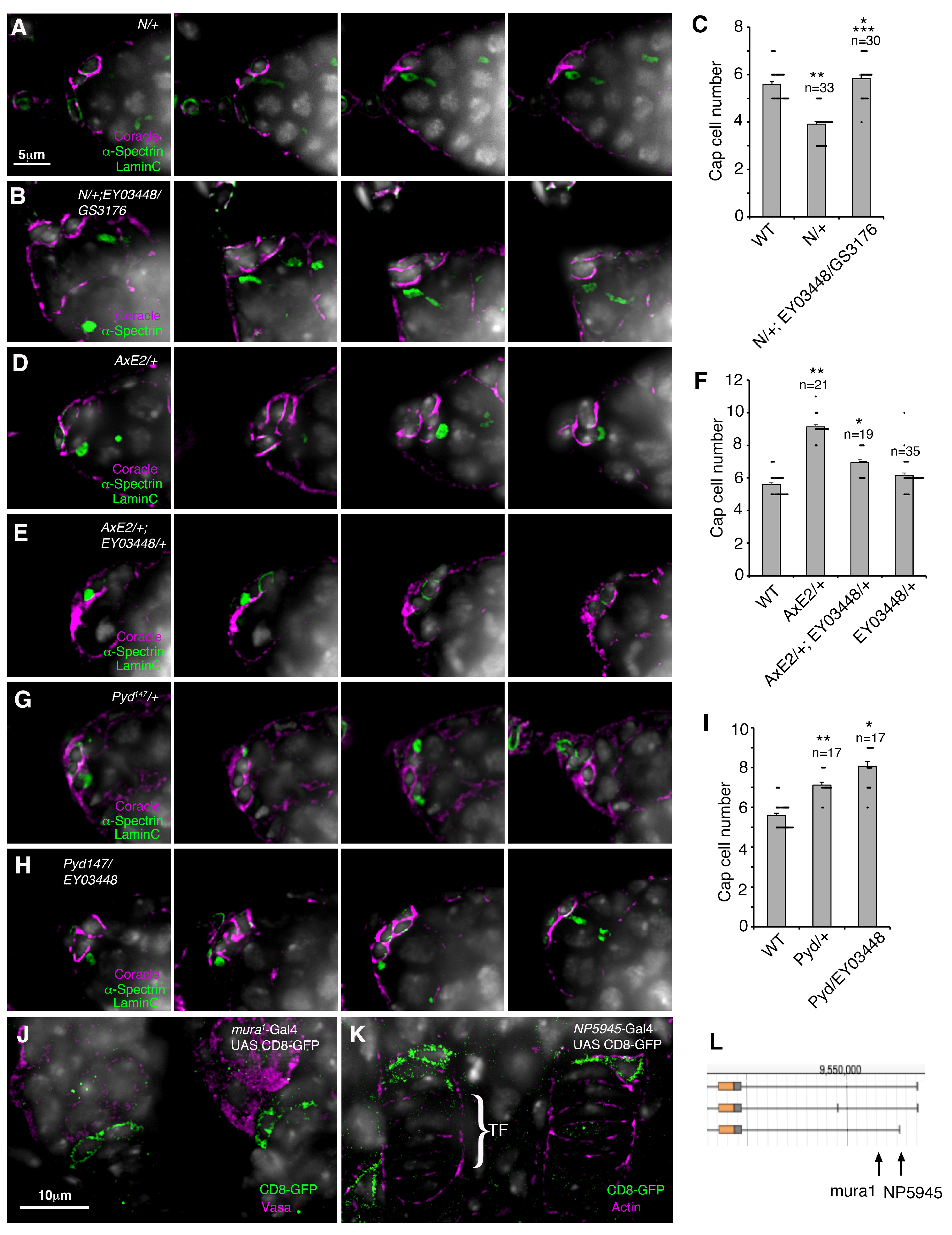 Biomolecules 15 01082 g003