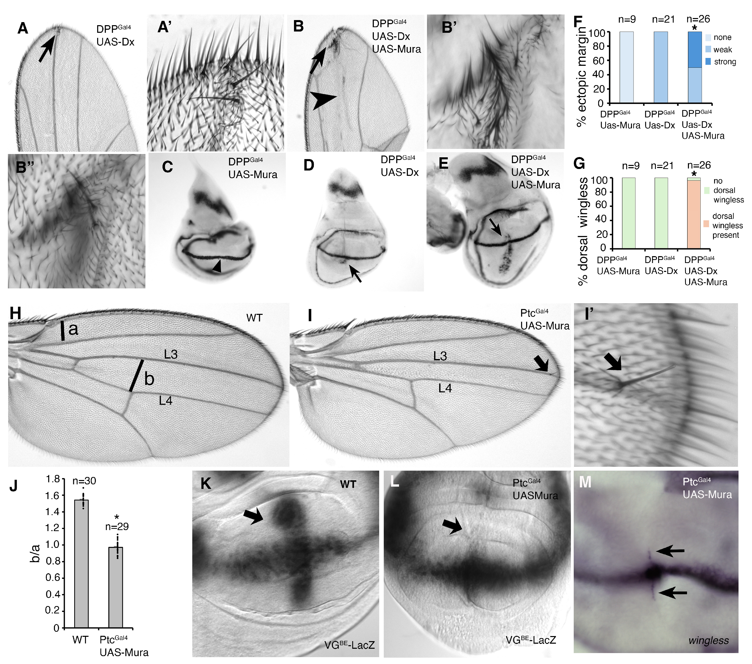Biomolecules 15 01082 g004