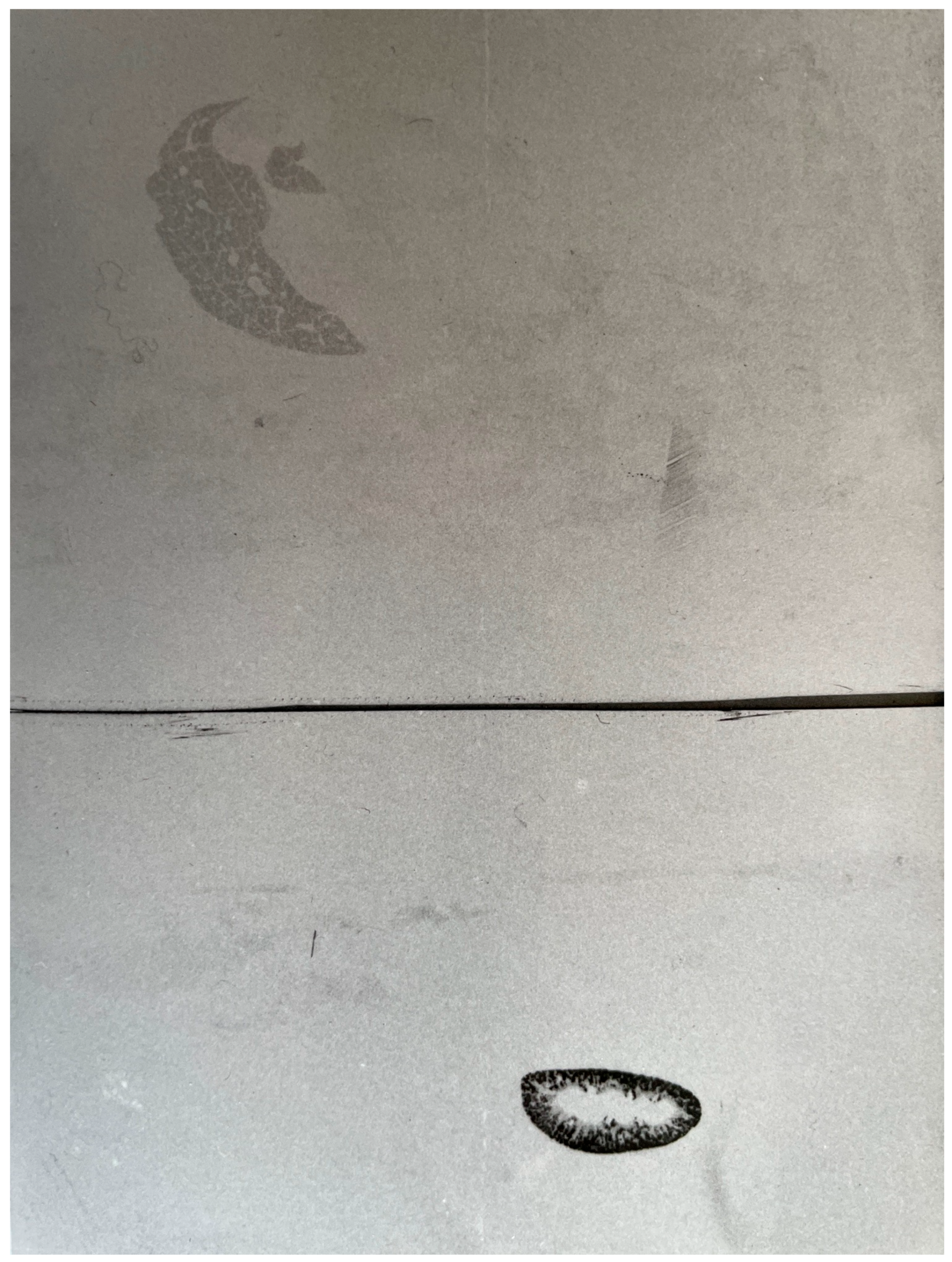 Biomolecules 15 01083 g001