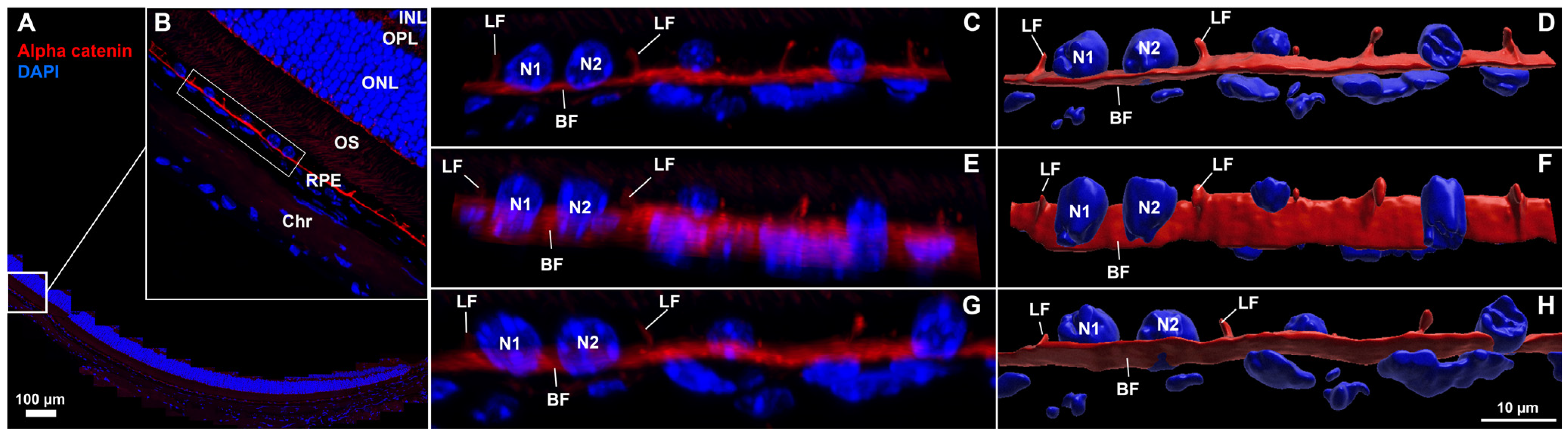 Biomolecules 15 01084 g003