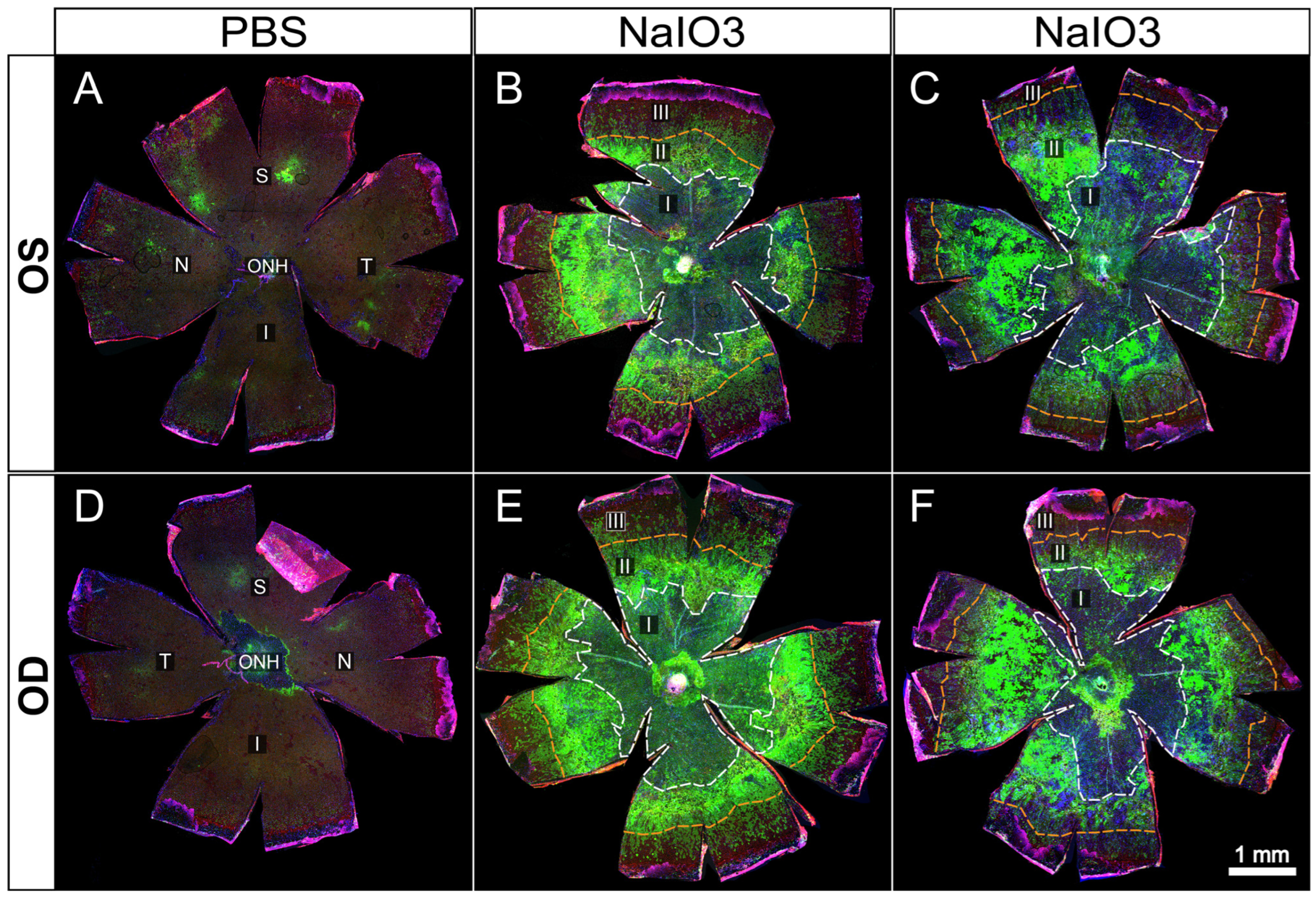 Biomolecules 15 01084 g004