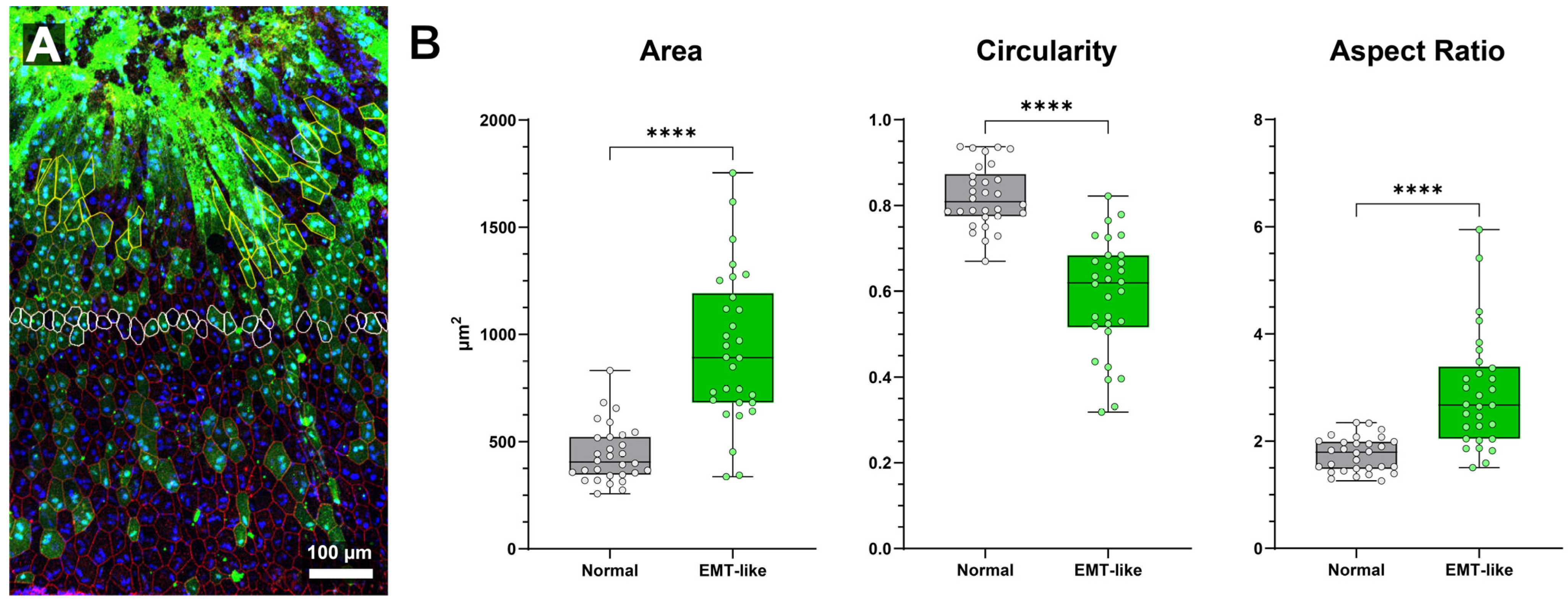 Biomolecules 15 01084 g005