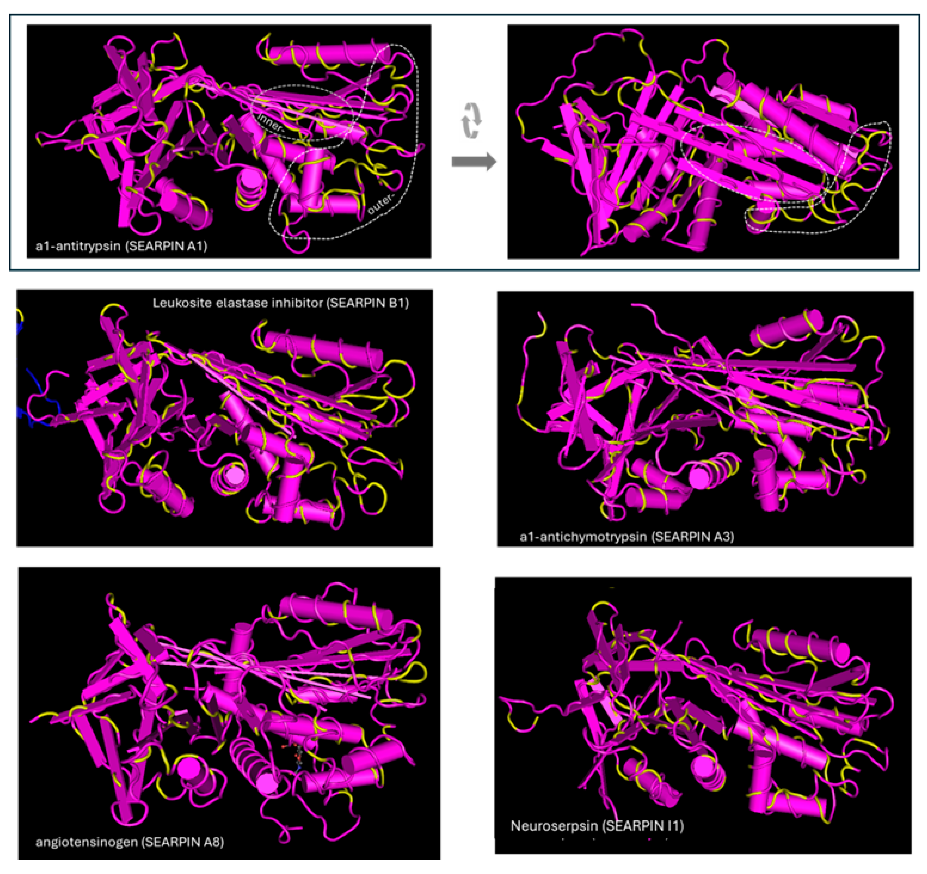 Biomolecules 15 01085 g006