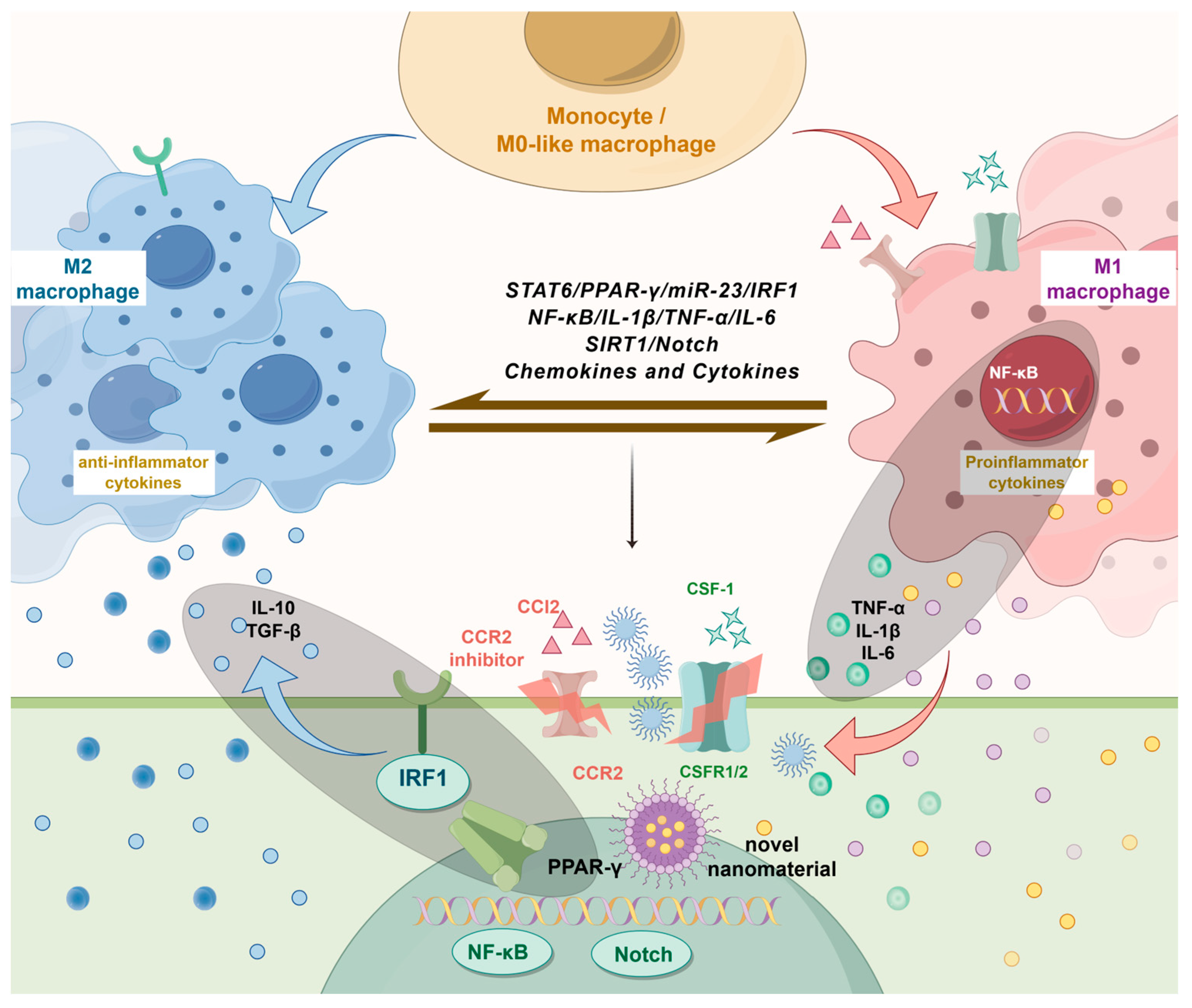 Biomolecules 15 01090 g002